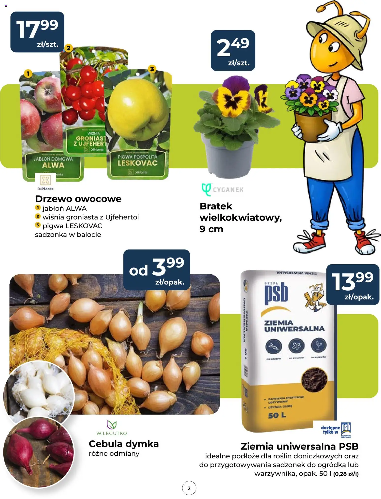 Mrówka gazetka od 12.03.2026 | Strona: 2 | Produkty: Pigwa, Ziemia uniwersalna, Ziemia