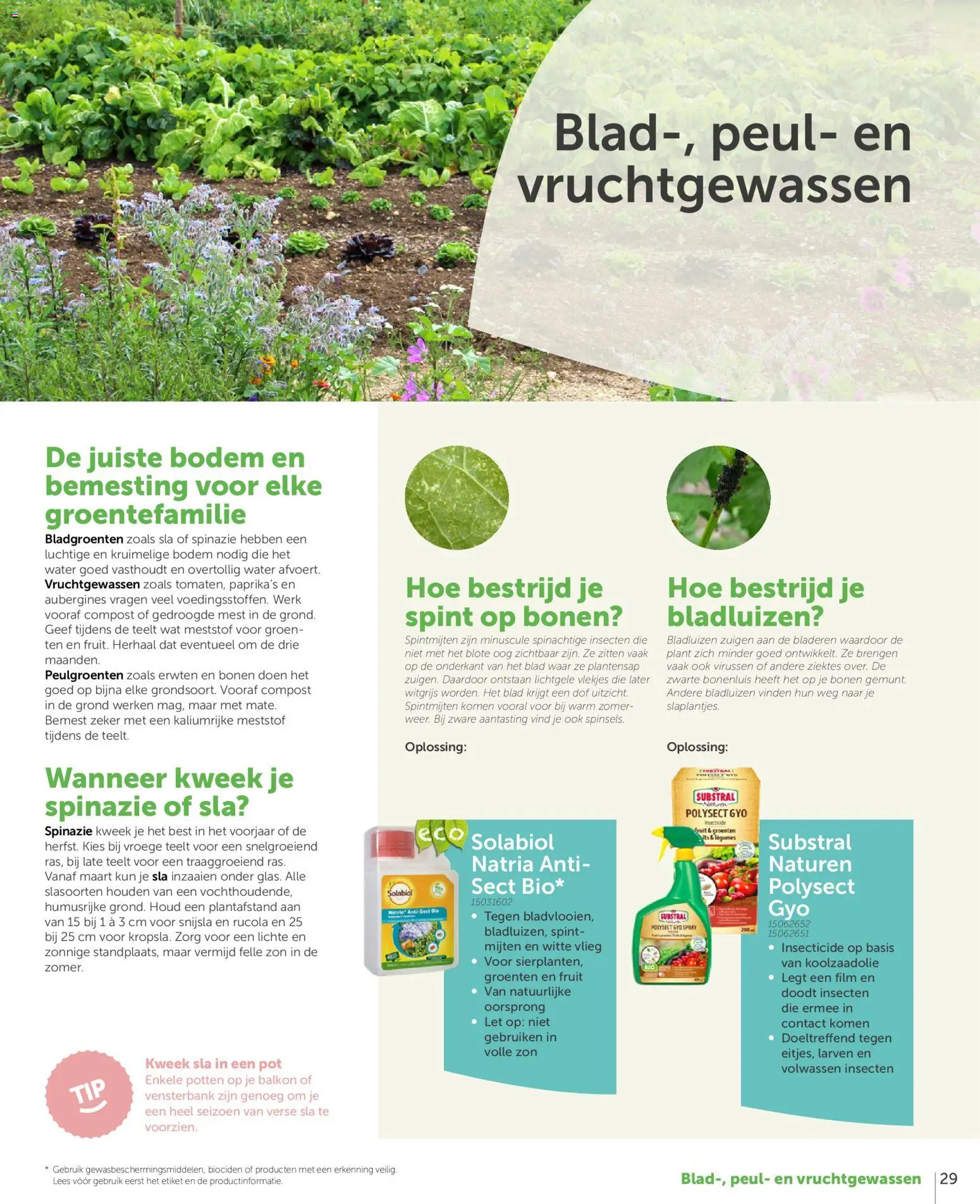 {H1} | Pagina: 29 | Producten: Fruit, Spinazie, Sla, Rucola