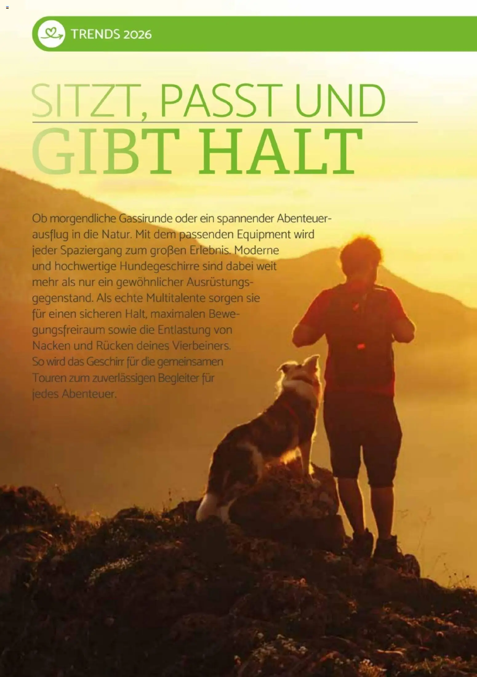 zookauf Heimtier Journal Special – gültig ab 01.06.2026 | Seite: 12