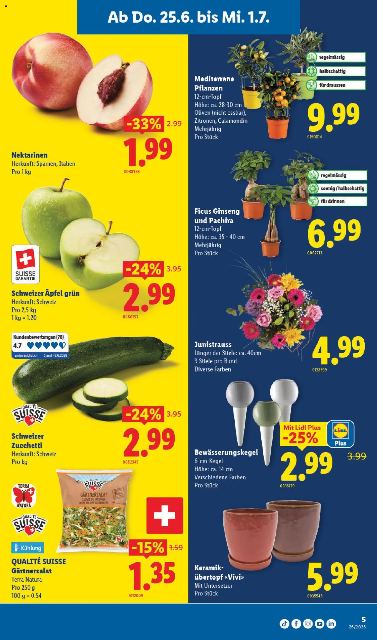 Lidl aktionen – gültig ab 25.06.2026 | Seite: 5