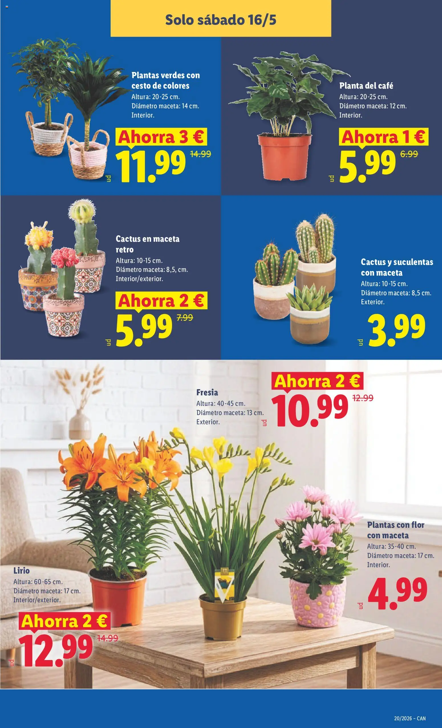 Lidl folleto │ válido desde el 11.05.2026 | Página: 47 | Productos: Café, Maceta