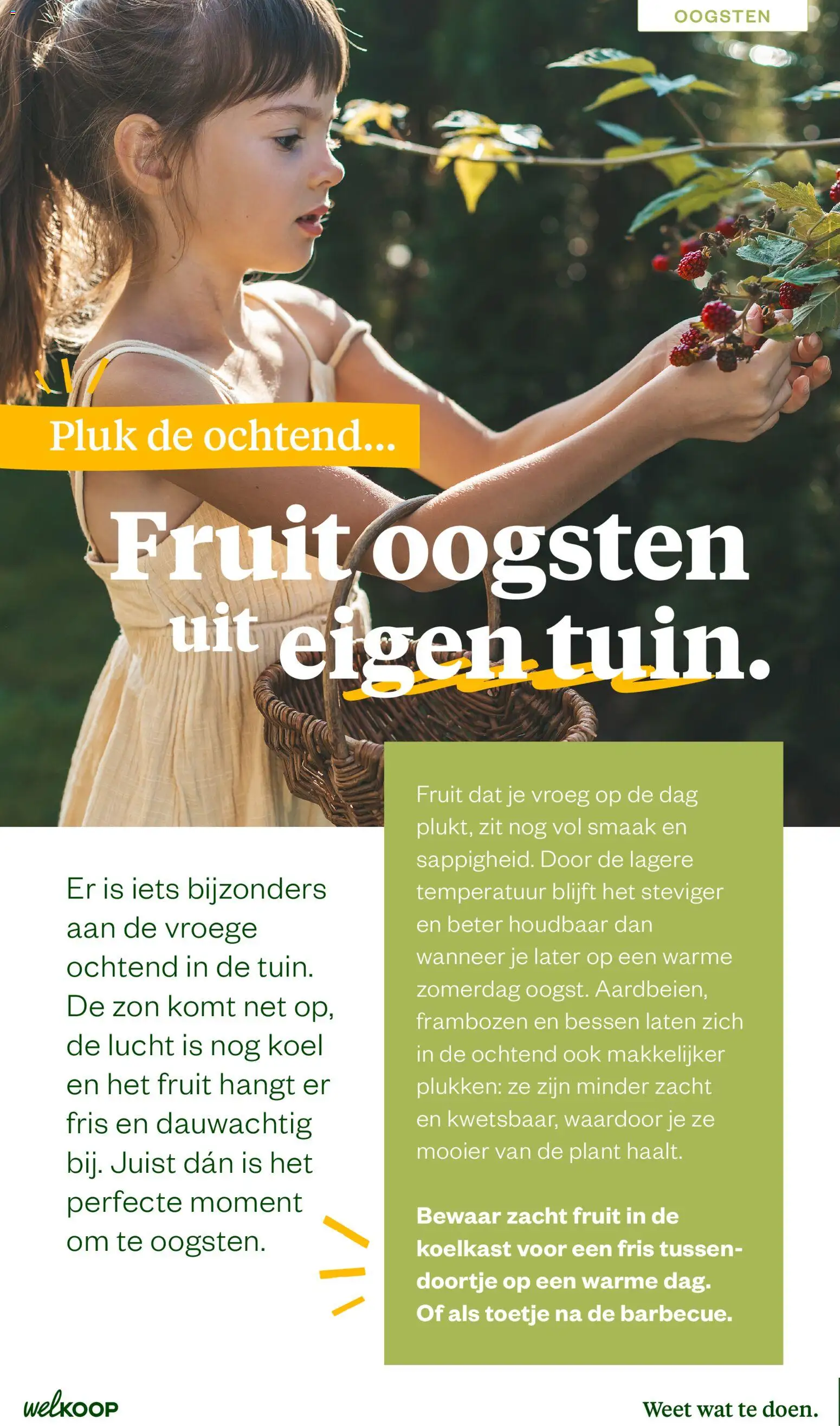 {H1} | Pagina: 4 | Producten: Koelkast, Fruit, Frambozen