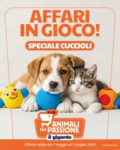 Anteprima del volantino Il Gigante volantino Animali valido a partire dal 07.05.2026