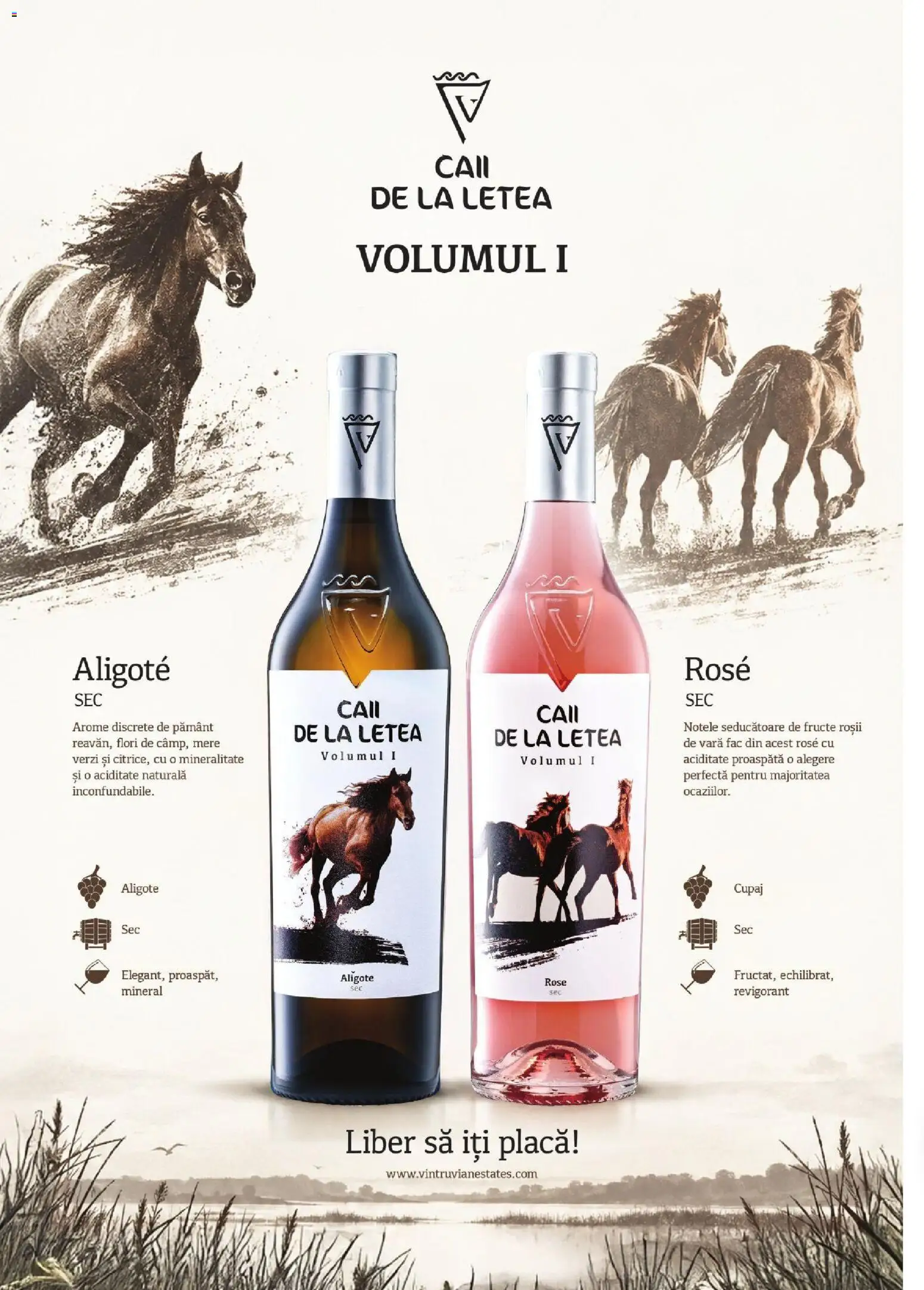 Noul catalog Mega Image – valabil de la 01.10.2026 | Pagină: 34 | Produse: Mere, Roșii, Flori, Fructe