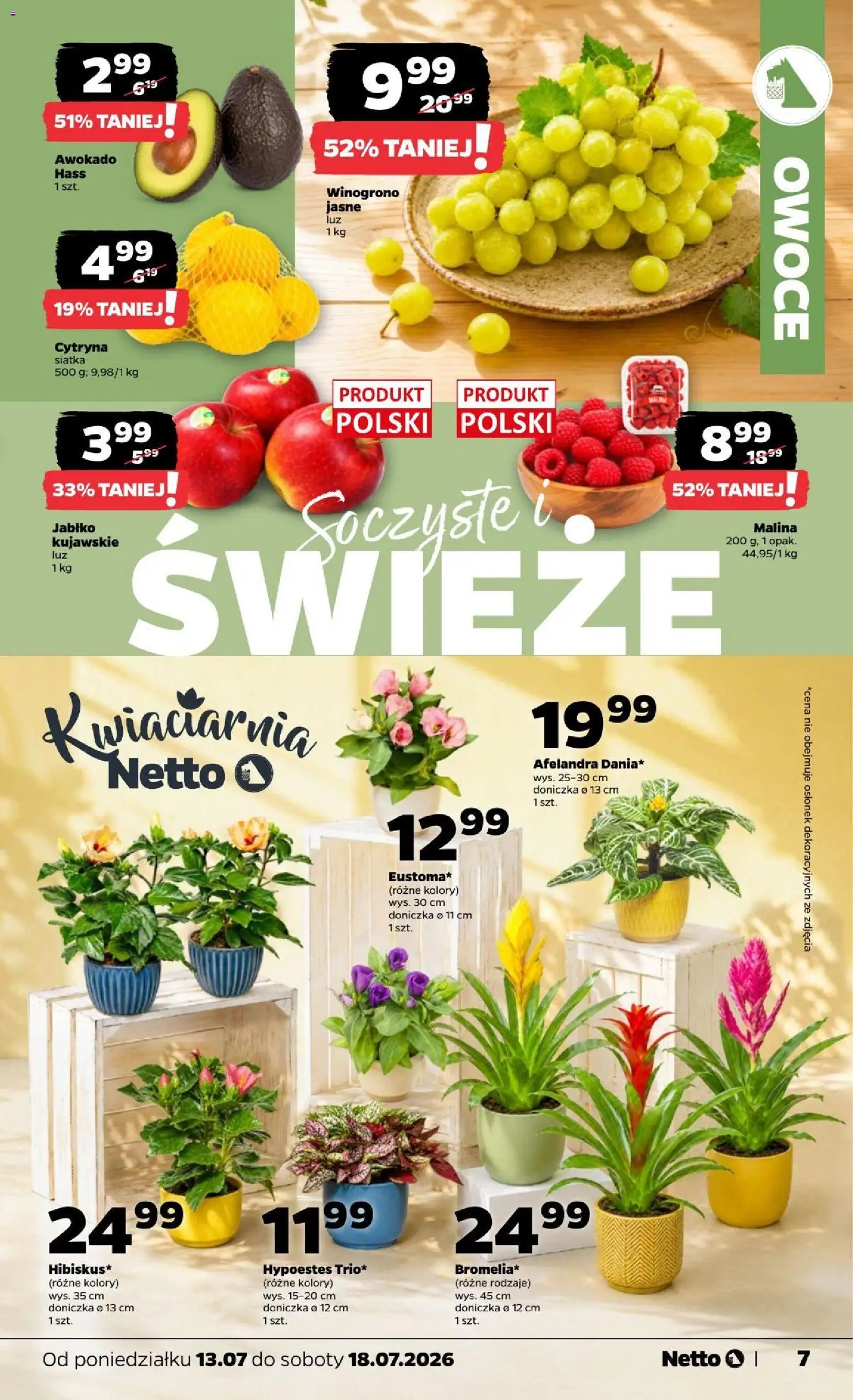 Netto gazetka od poniedziałku od 13.07.2026 | Strona: 7 | Produkty: Cytryna, Siatka, Doniczka, Awokado
