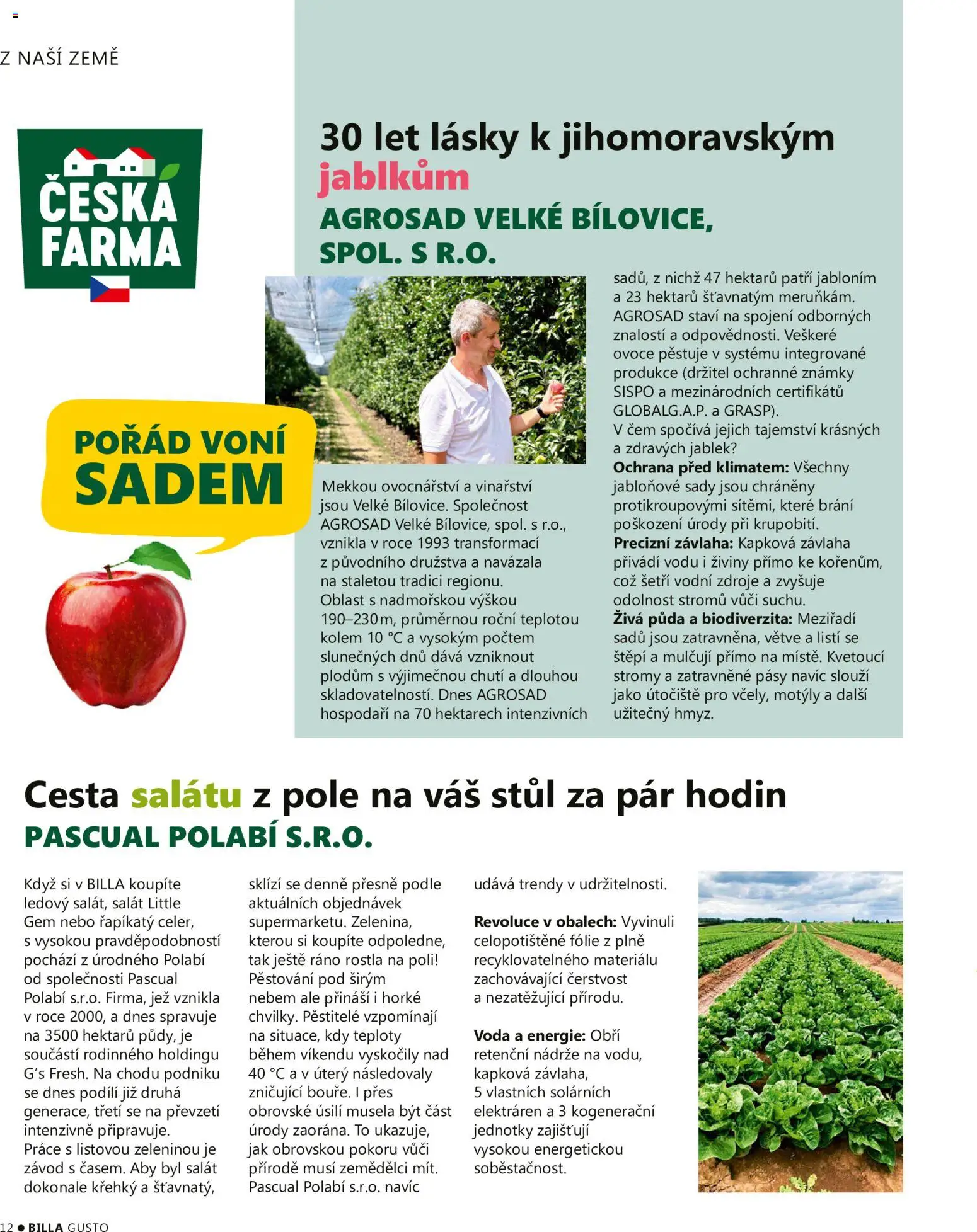 Billa leták - Gusto: Podzim 2026 od 01.09.2026 | Strana: 12 | Produkty: Ovoce, Známky, Salát, Stůl