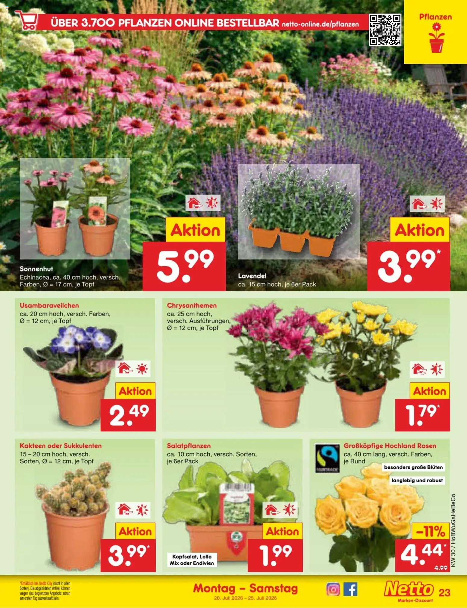Netto Marken-Discount Prospekt – gültig ab 20.07.2026 | Seite: 39 | Produkte: Lavendel
