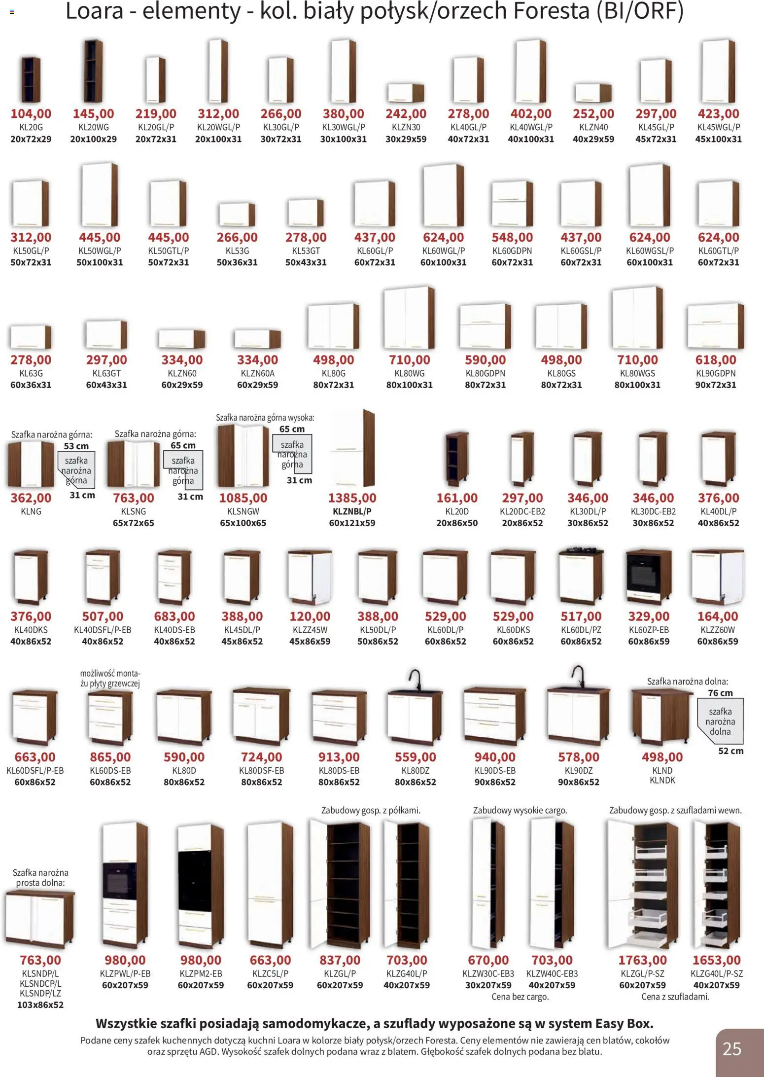 Bodzio Katalog od 01.08.2026 | Strona: 25 | Produkty: Plyty
