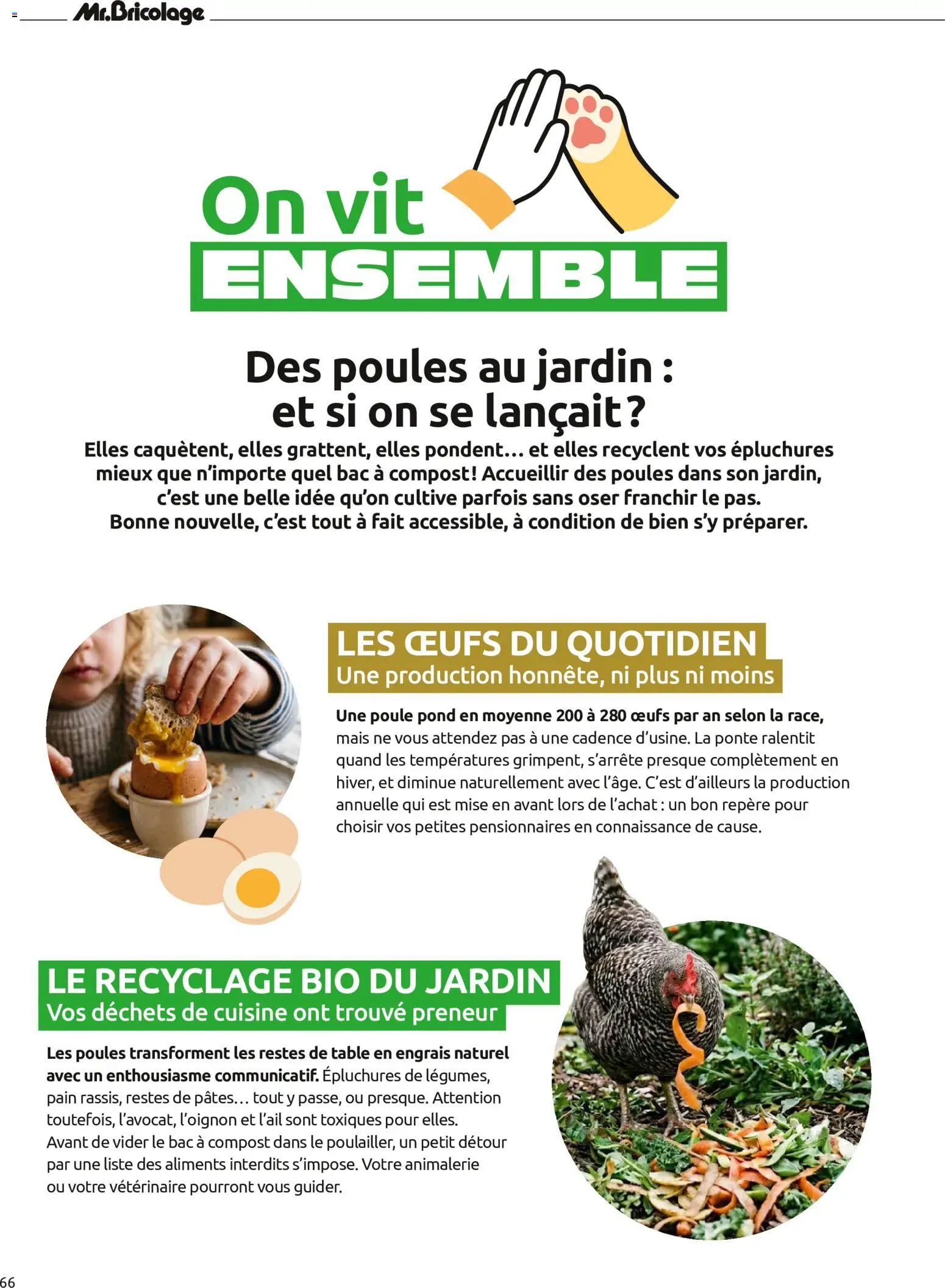 {H1} | Page: 66 | Produits: Bricolage, Table, Pâtes, Aliments