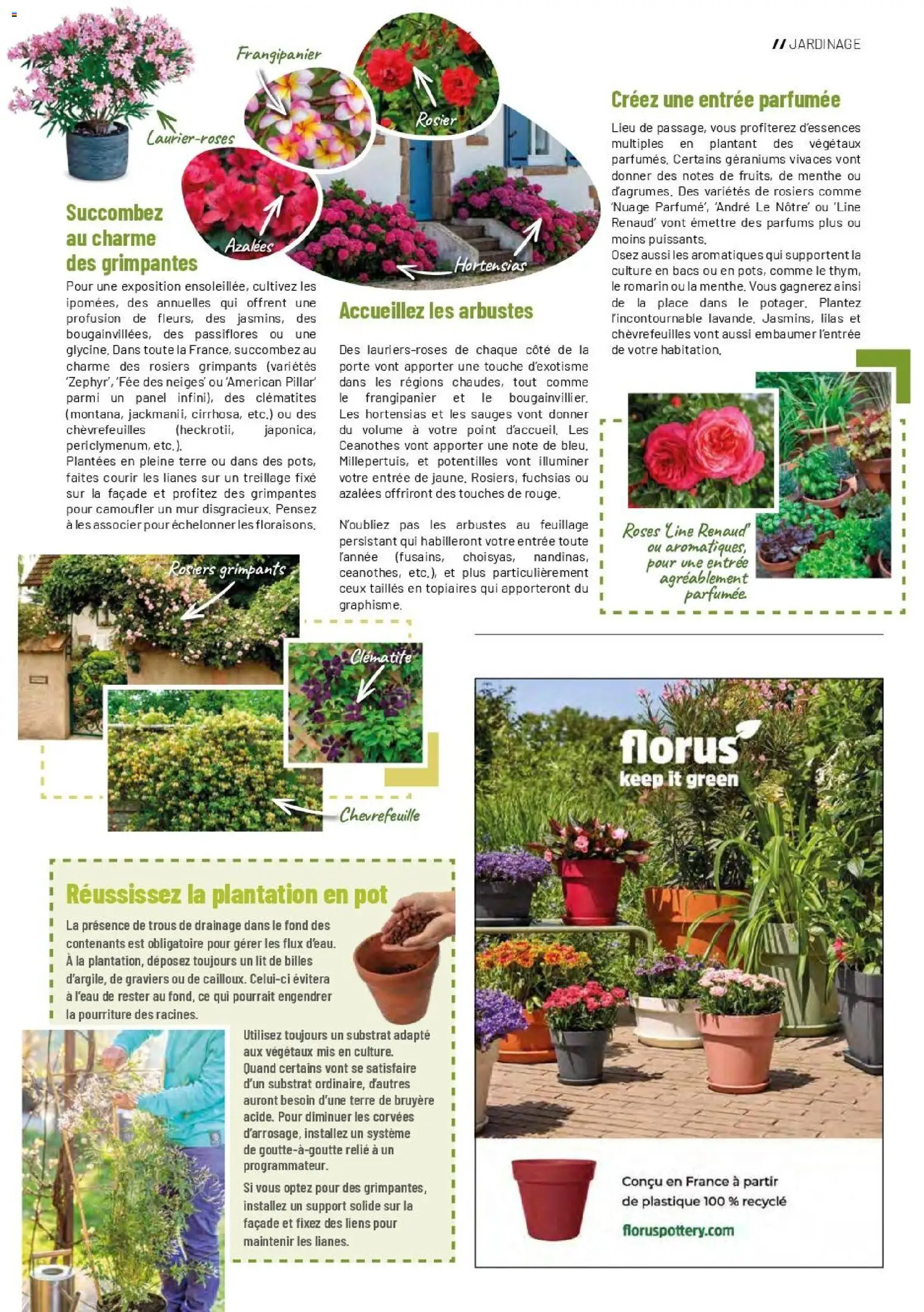 {H1} | Page: 17 | Produits: Rosier, Menthe, Lit, Terre de bruyère