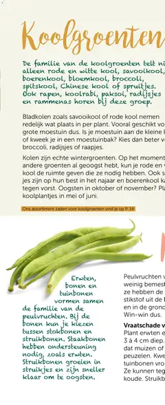 Aveve Groente- en kruidengids - Voorbeeld van een folder van Aveve, geldig van 23.02.2026 | Pagina: 8 | Producten: Groenten, Kool, Boerenkool