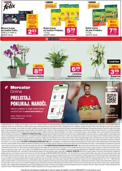 Mercator katalog akcije – veljaven od 10.09.2026 | Stran: 31