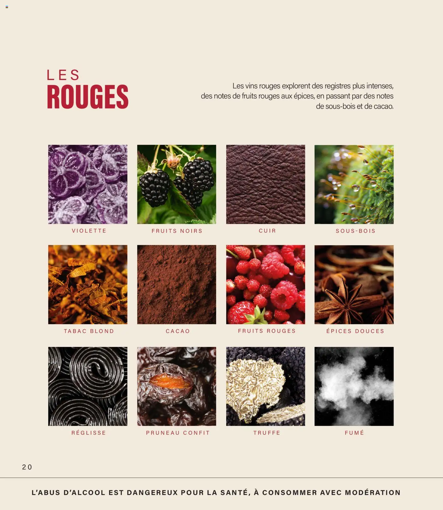 {H1} | Page: 20 | Produits: Cacao, Fruits, Épices