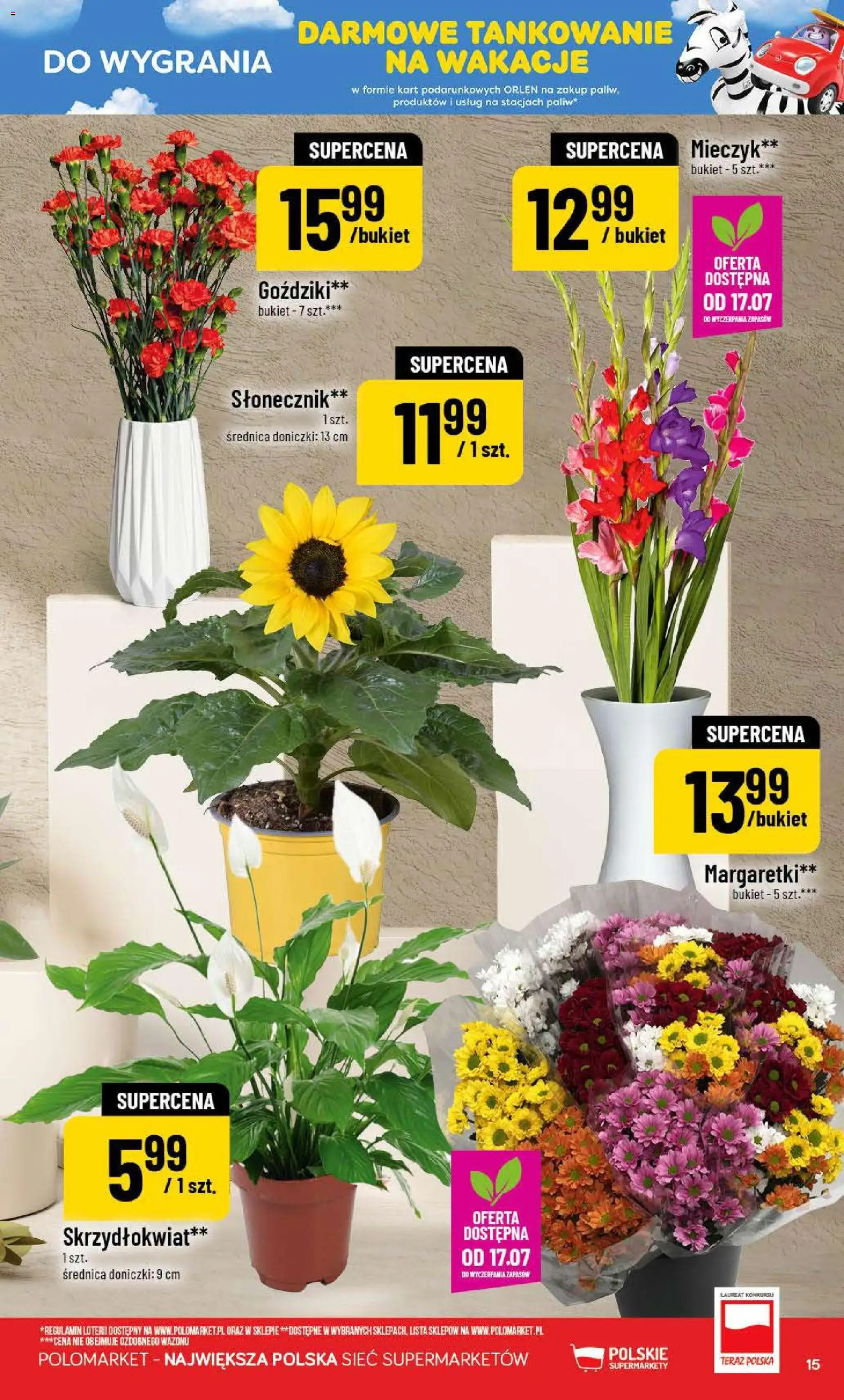 POLOmarket gazetka od 15.07.2026 | Strona: 15 | Produkty: Goździki, Skrzydłokwiat, Słonecznik, Doniczki