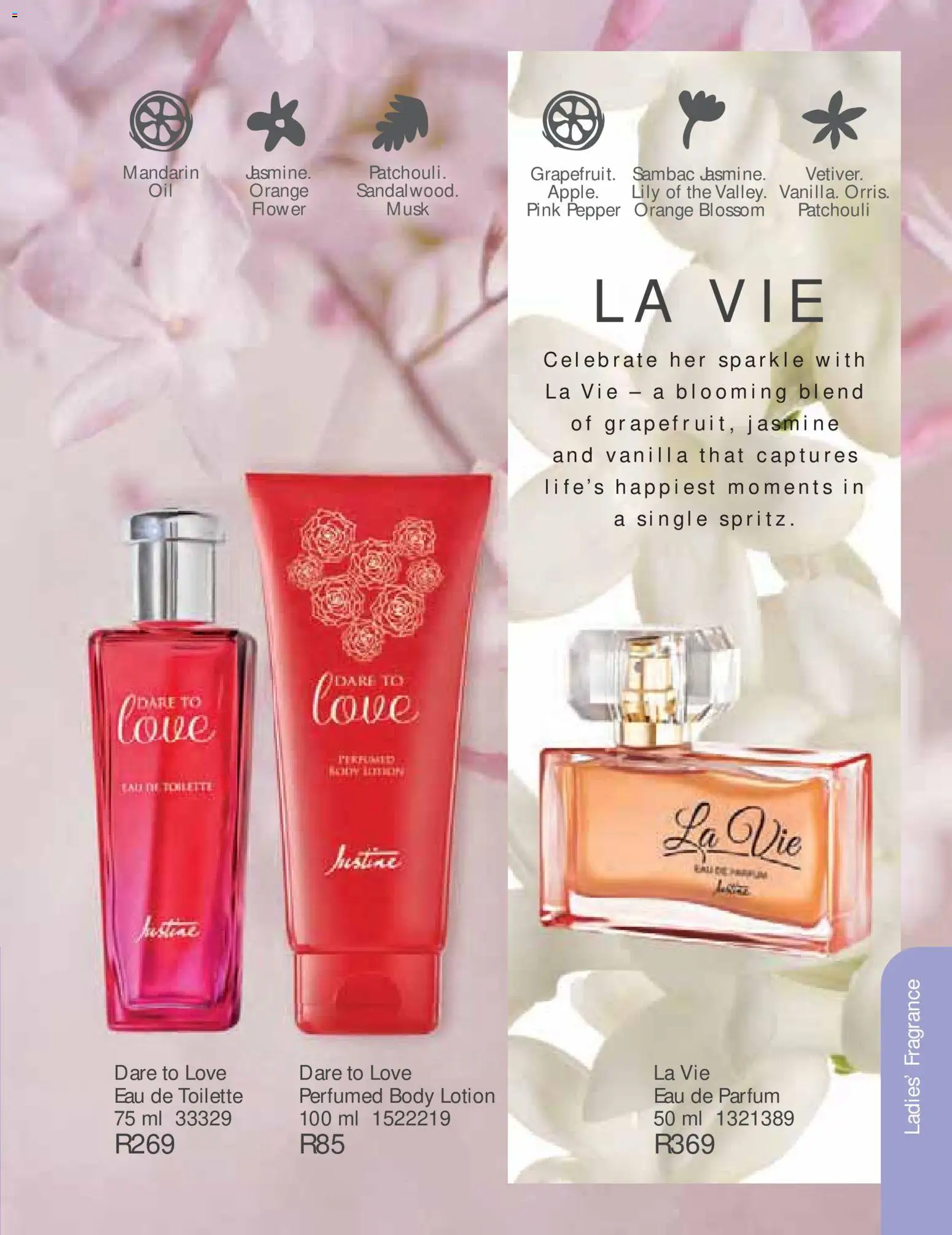 New Justine catalogue – valid from 01/07/2026 | Page: 75