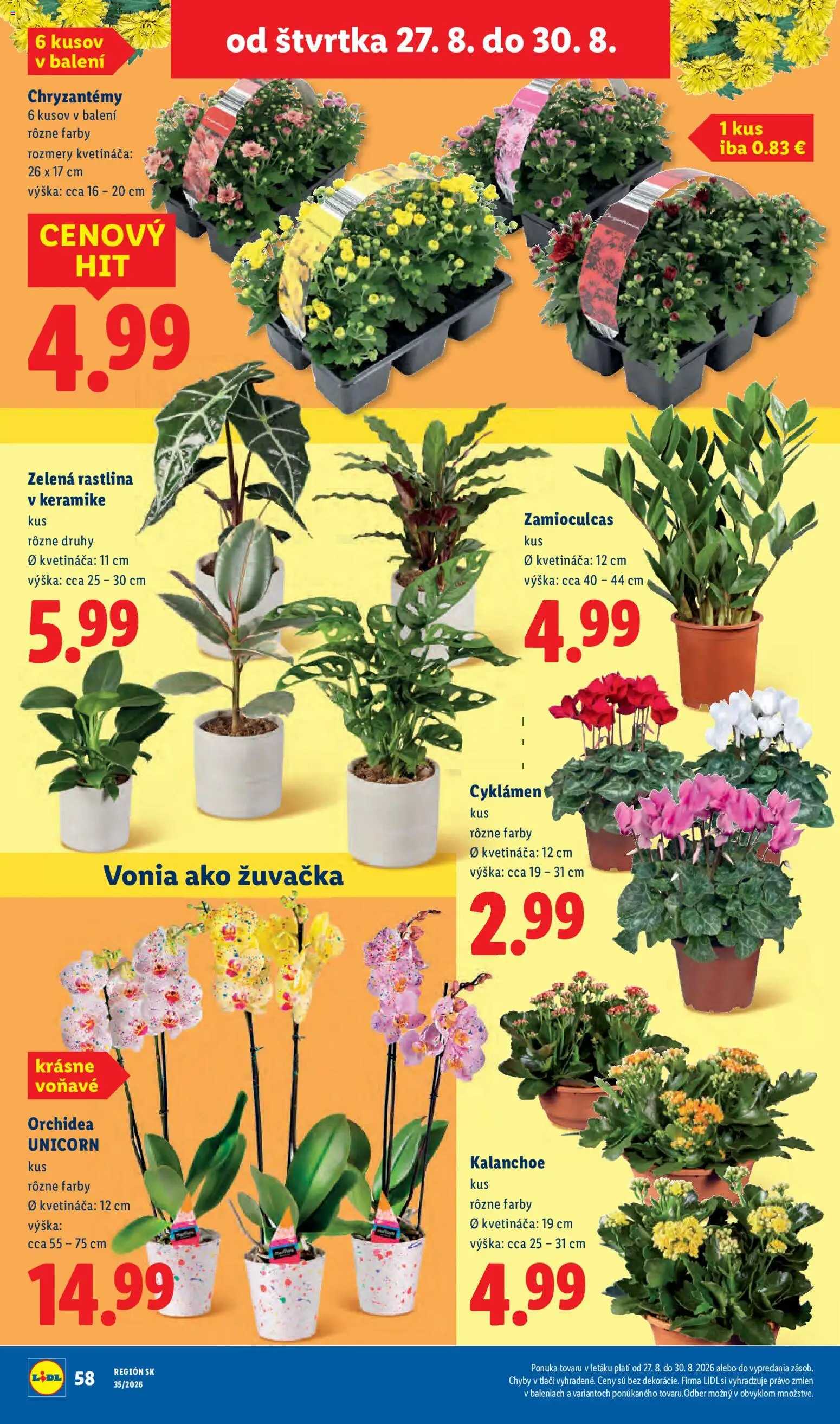 Nové Lidl akcie – leták je platný od 24.08.2026 | Strana: 52 | Produkty: Orchidea