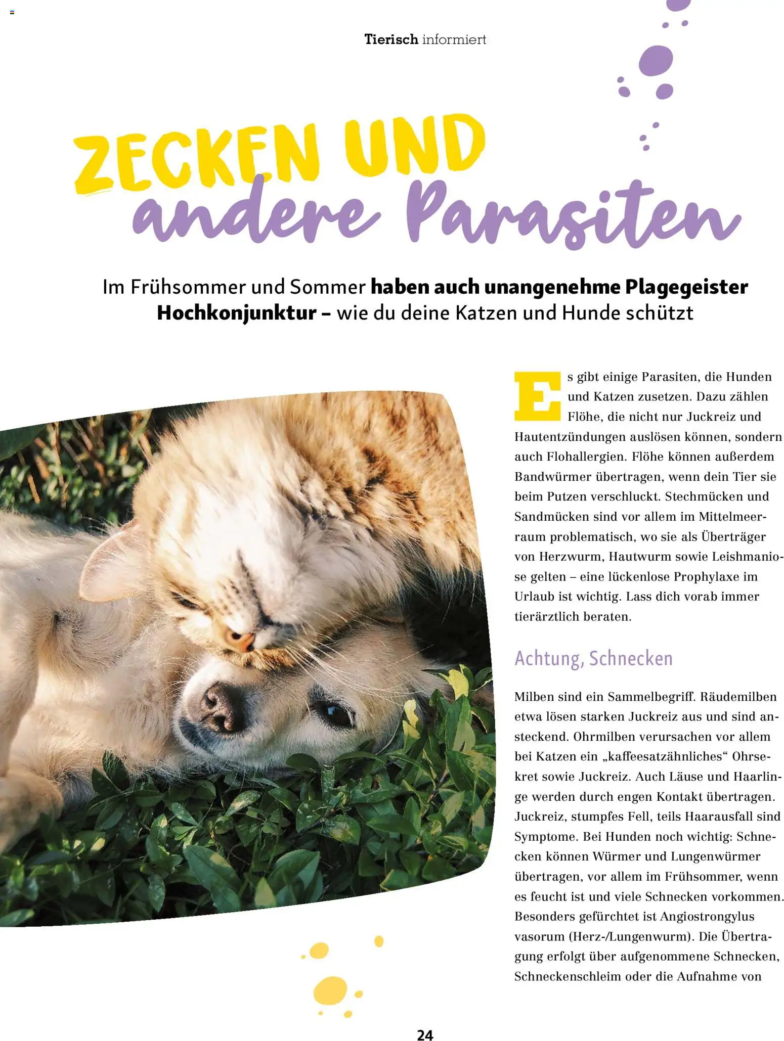 Fressnapf Friends Magazin – gültig ab 01.05.2026 | Seite: 24