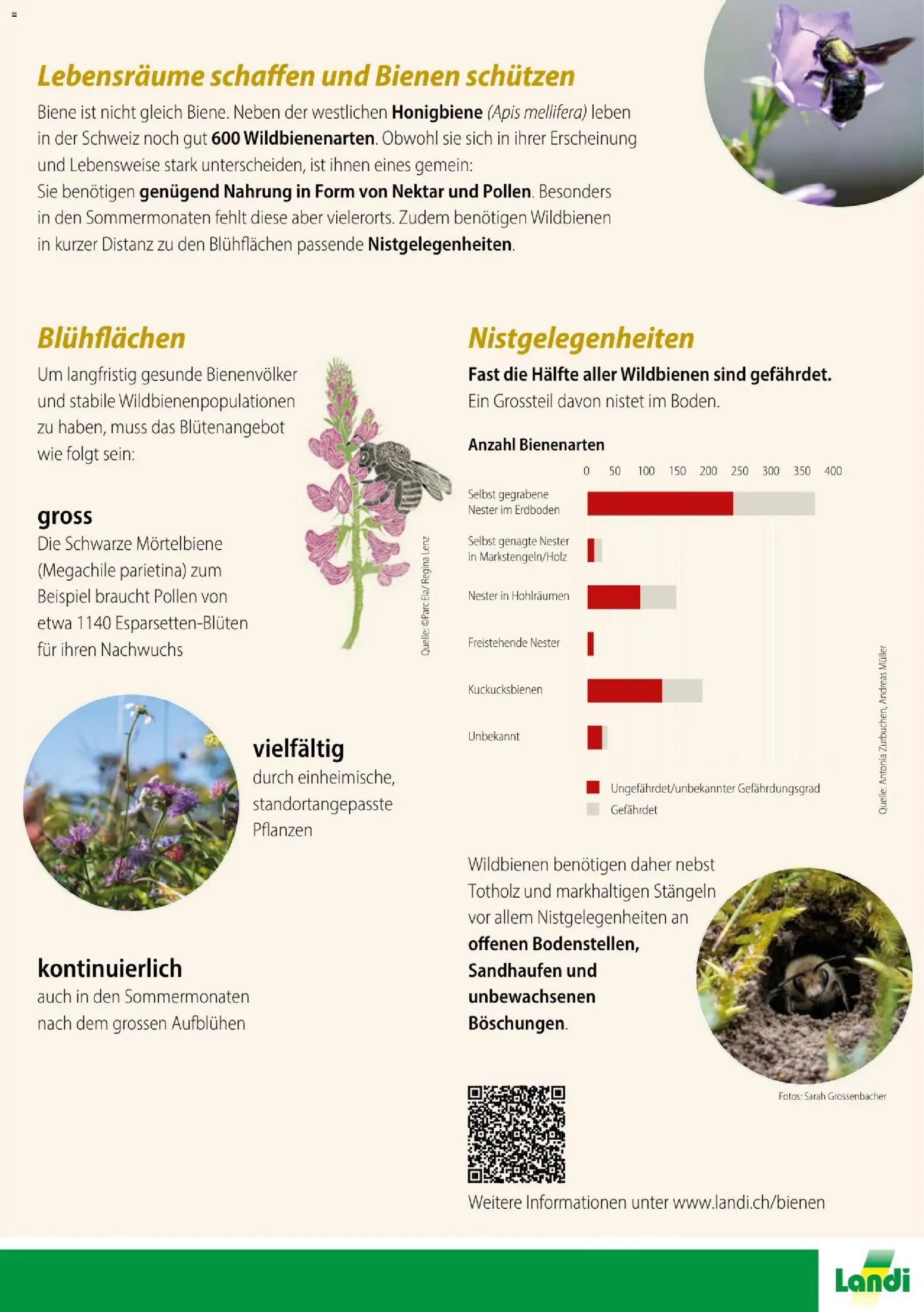 Landi aktionen Wild- und Honigbienen – gültig ab 29.03.2026 | Seite: 3