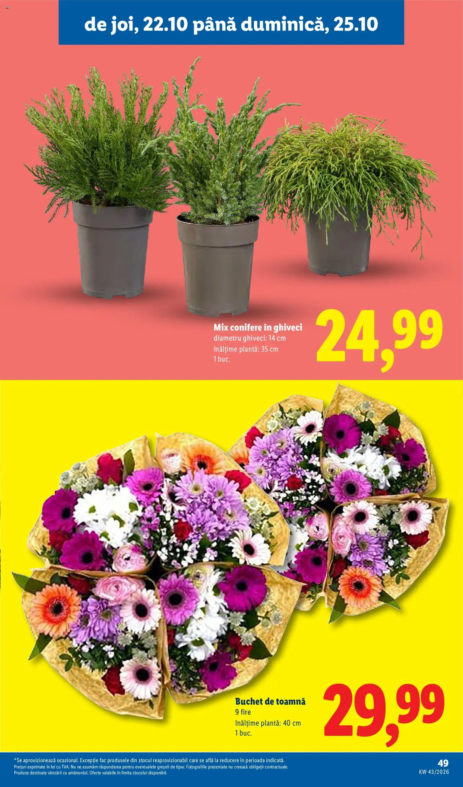 Noul catalog Lidl – valabil de la 19.10.2026 | Pagină: 49
