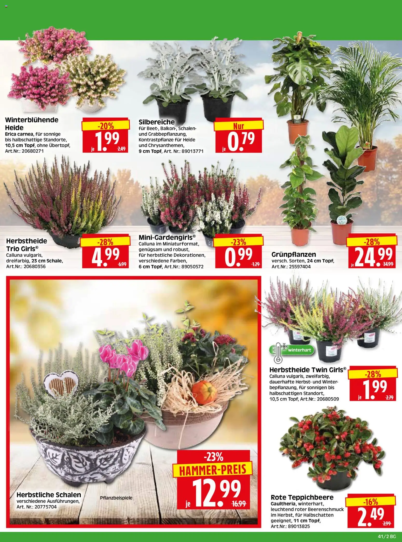 HERKULES Bau & Garten – gültig ab 05.10.2026 | Seite: 2
