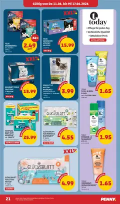 Penny Markt - Flugblatt ab 11.06.2026 gültig | Seite: 21