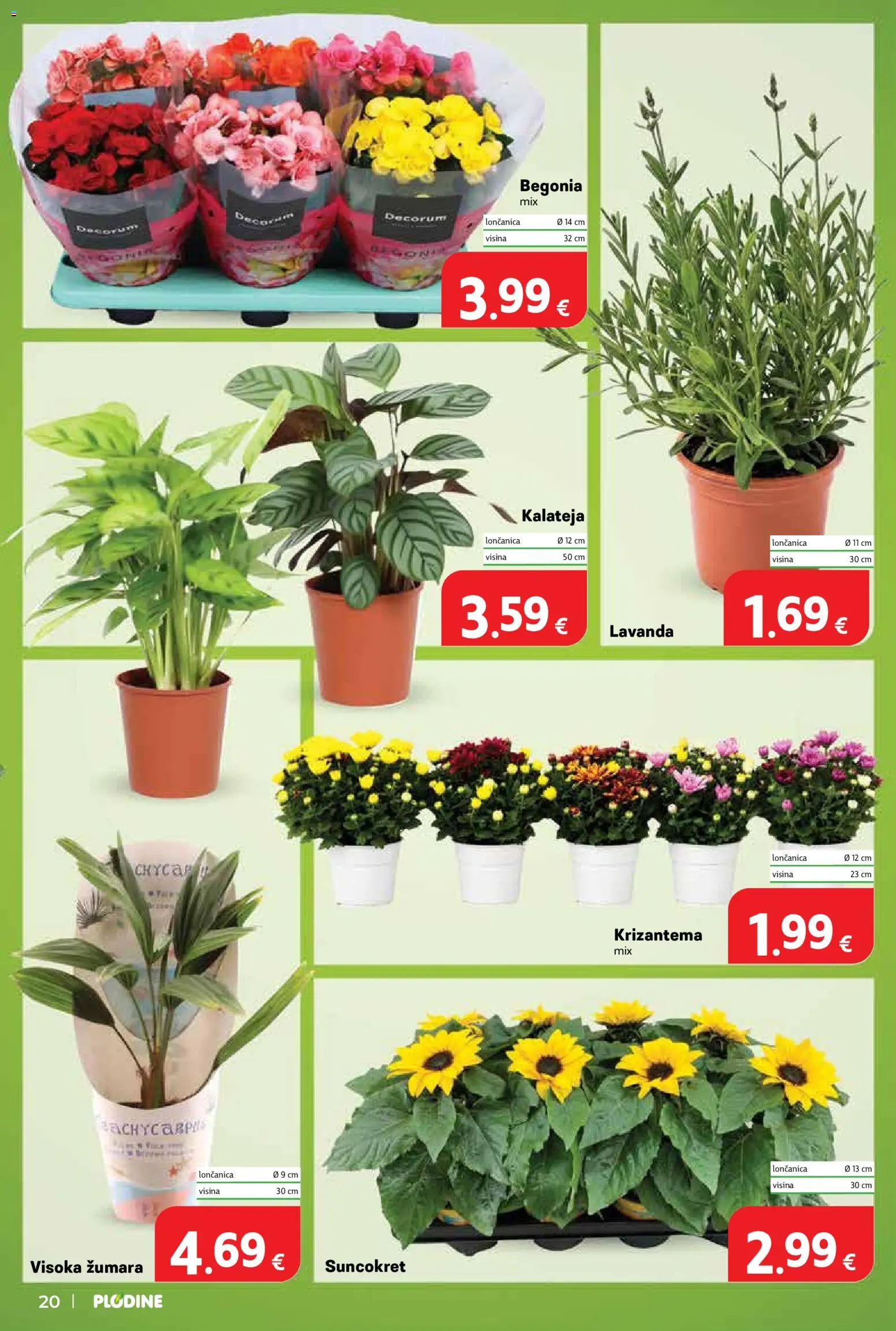 Plodine katalog | vrijedi od 24.06.2026 | Stranica: 20
