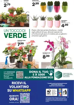 Anteprima del volantino IN's volantino valido a partire dal 06.05.2026 | Pagina: 24 | Prodotti: Cactus, Orchidea, Vaso