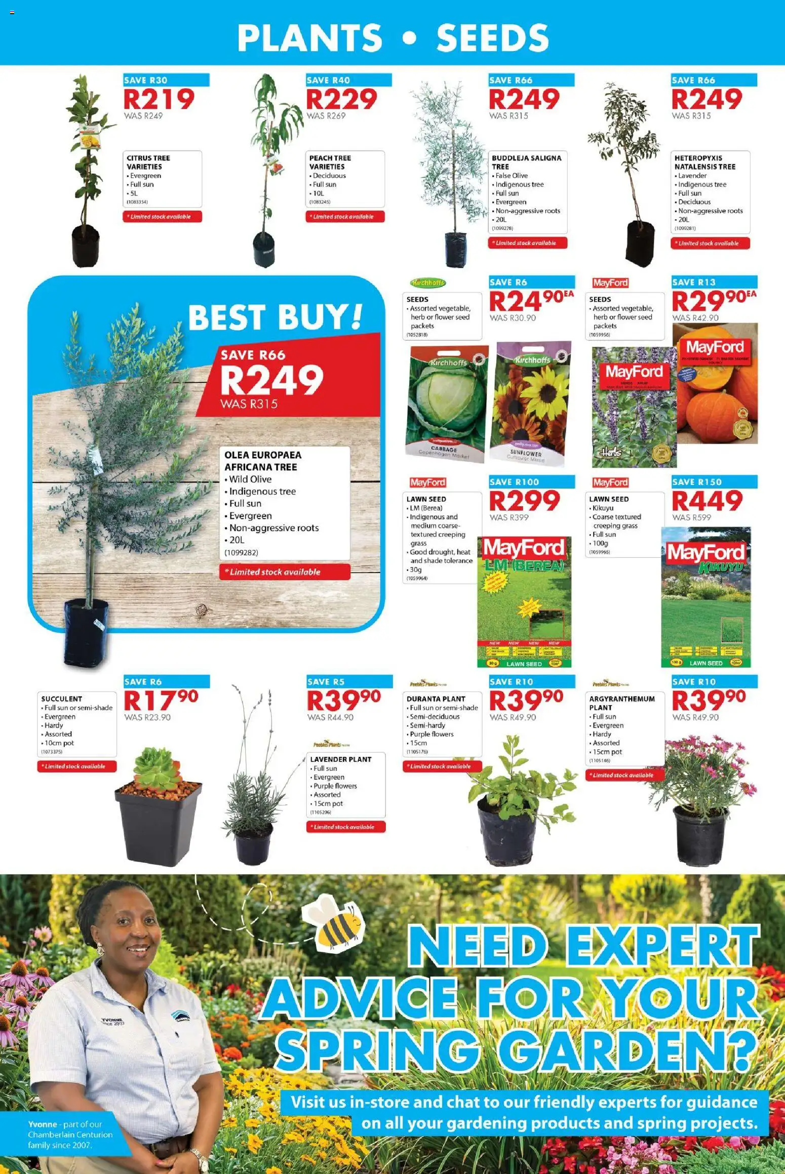 New Chamberlain catalogue – valid from 13/08/2026 | Page: 6 | Products: Stock, Herbs, Peach