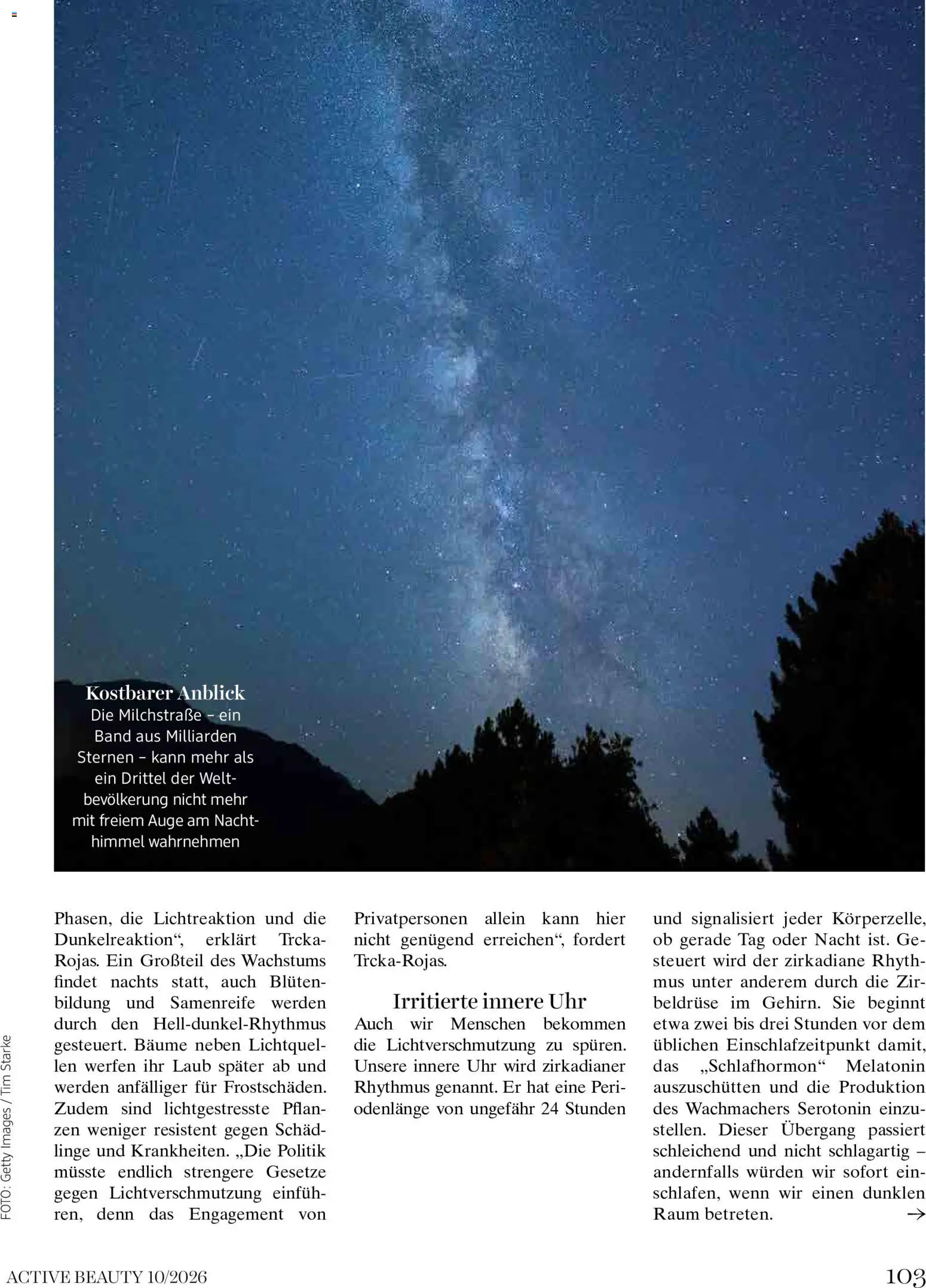 dm drogerie markt Magazin October 2026 gültig ab 01.10.2026 | Seite: 103 | Produkte: Uhr