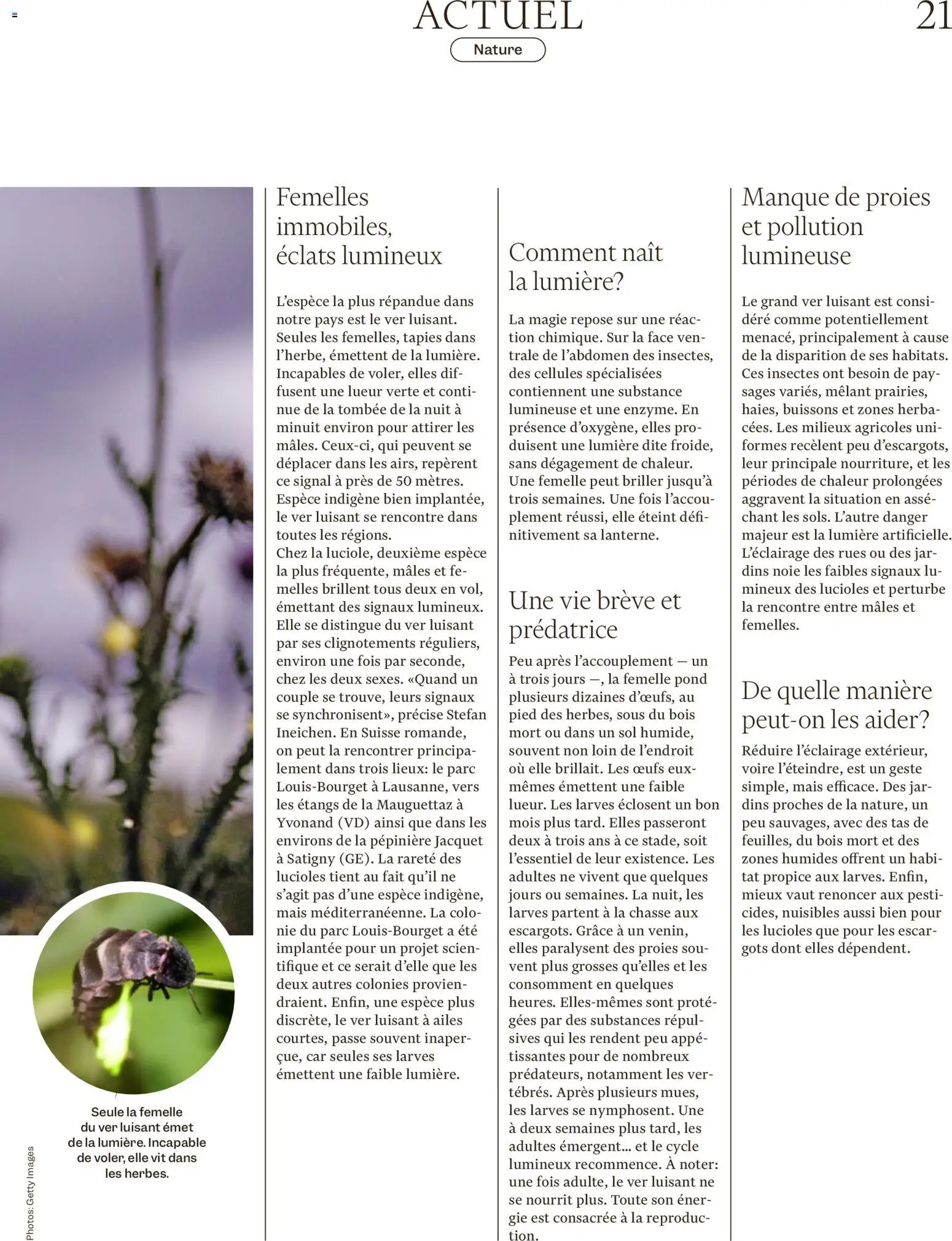 Migros aktionen Magazine FR – gültig ab 24.06.2026 | Seite: 21