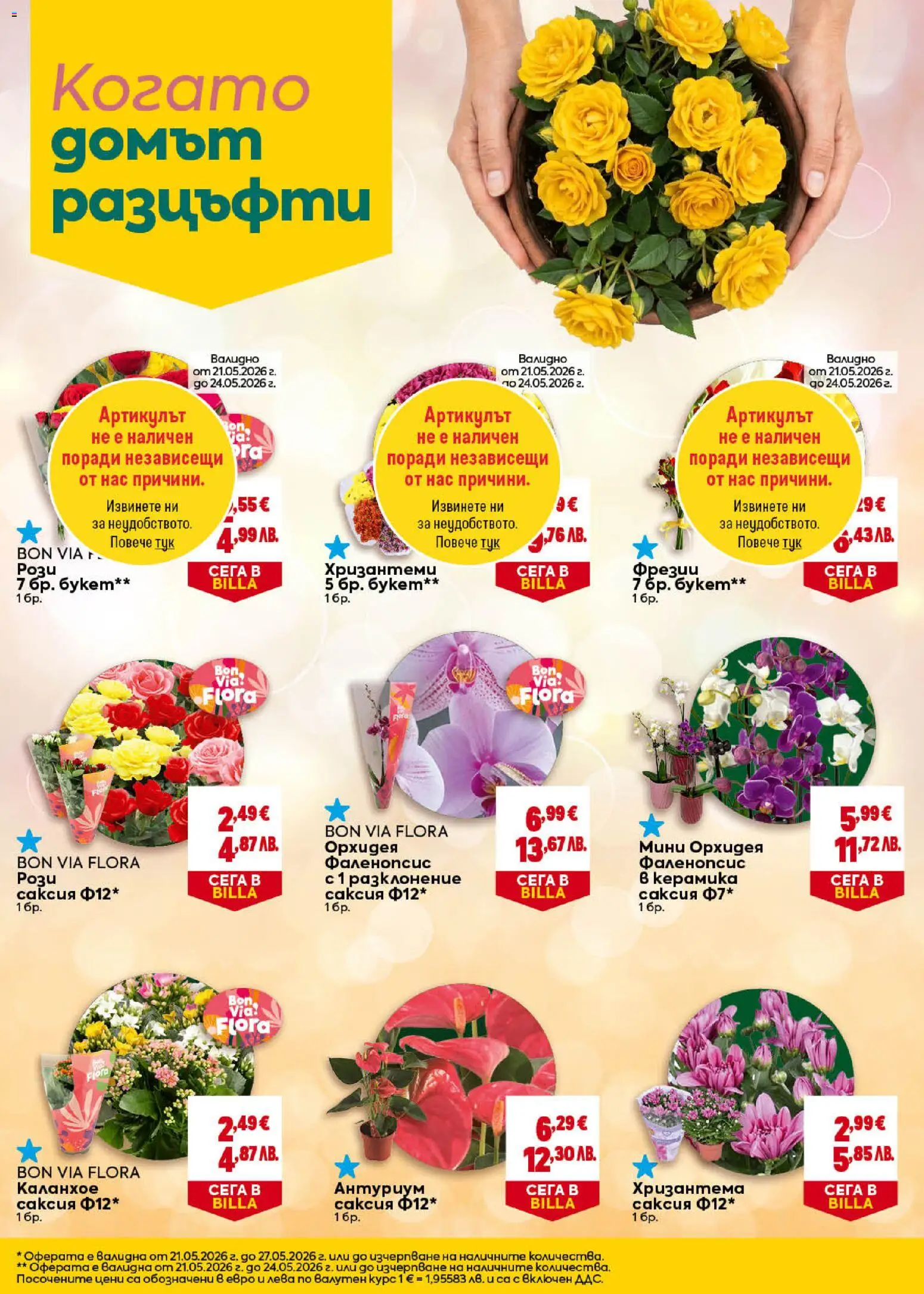 {H1} | Страница: 28 | Продукти: Орхидея, Хризантема, Саксия