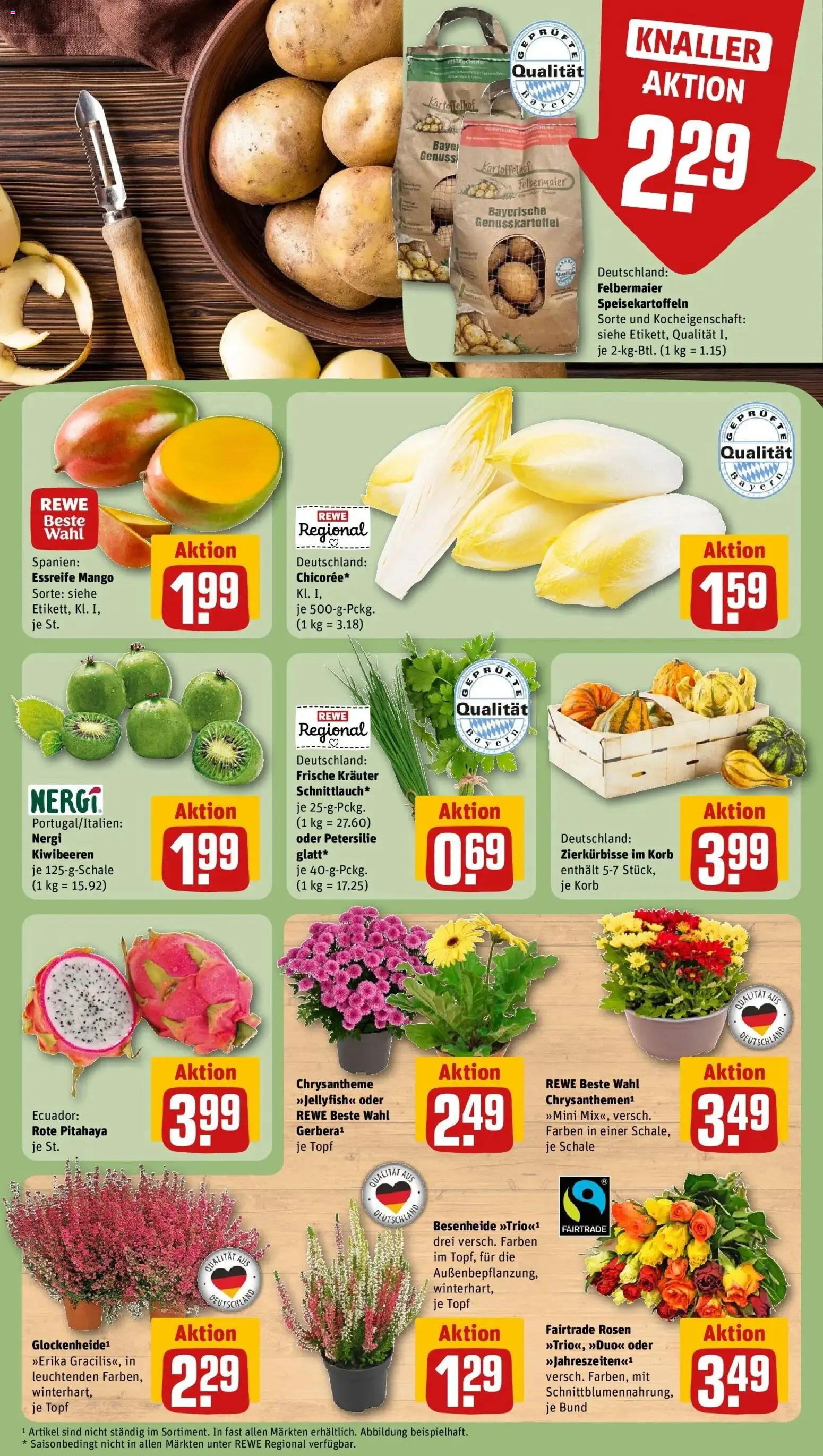 REWE Prospekt ab 21.09.2026 zum Blättern » Angebote | Seite: 13 | Produkte: Korb, Mango, Petersilie