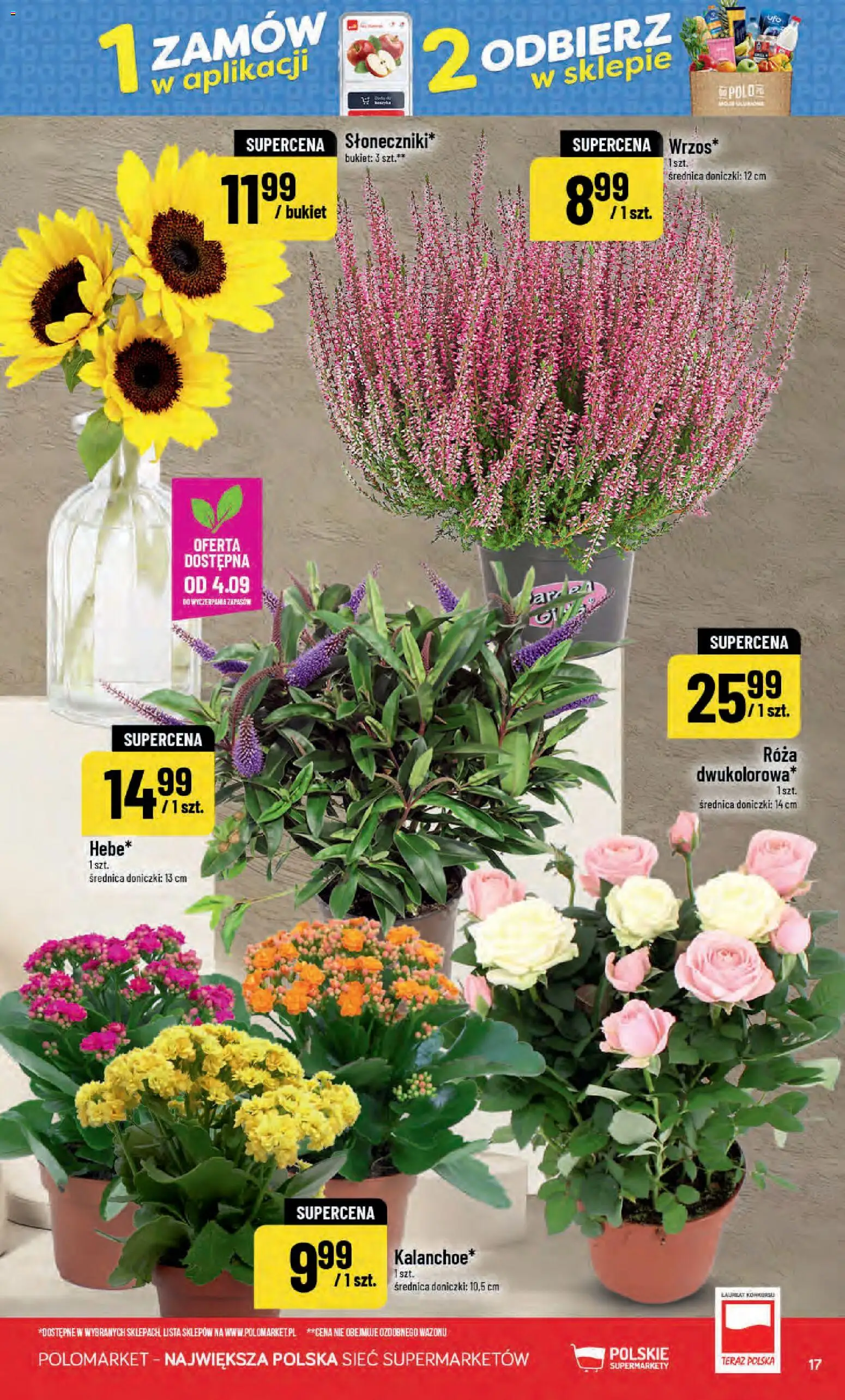 POLOmarket gazetka od 02.09.2026 | Strona: 17 | Produkty: Doniczki