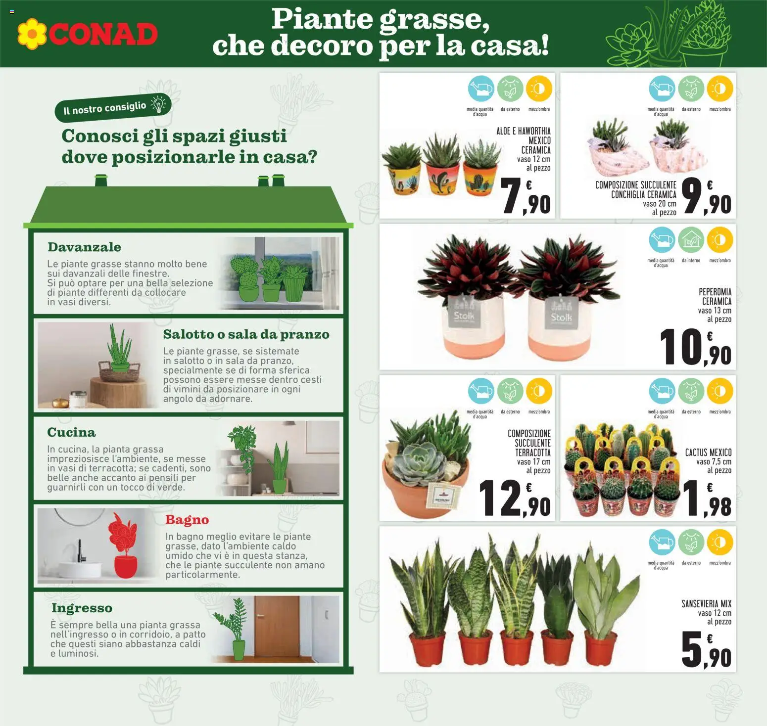 Volantino Conad del 21.05.2026 | Pagina: 19