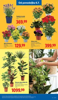 Lidl katalog - pregled Lidl kataloga - važi od 02.07.2026 | Strana: 89