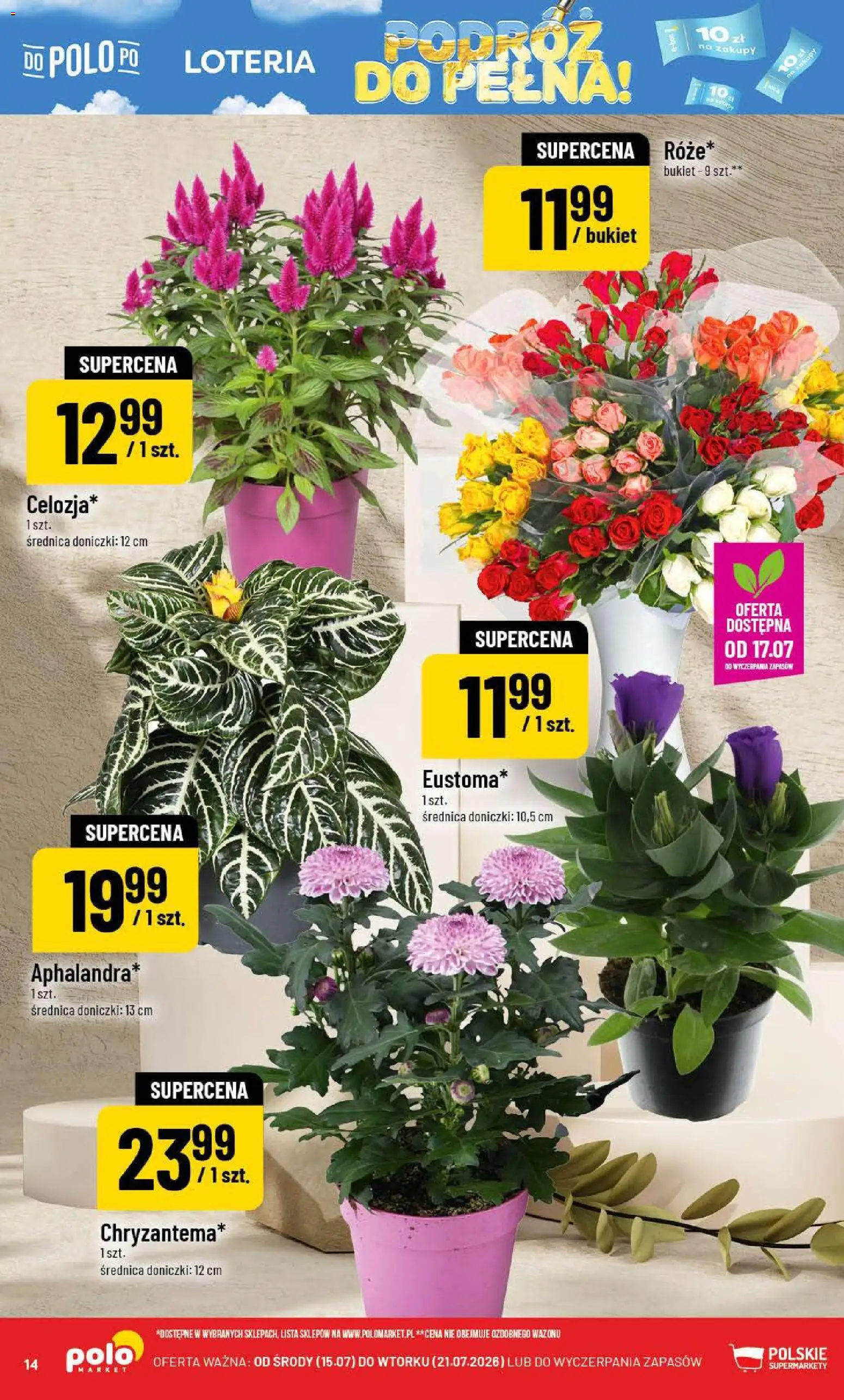 POLOmarket gazetka od 15.07.2026 | Strona: 14 | Produkty: Doniczki