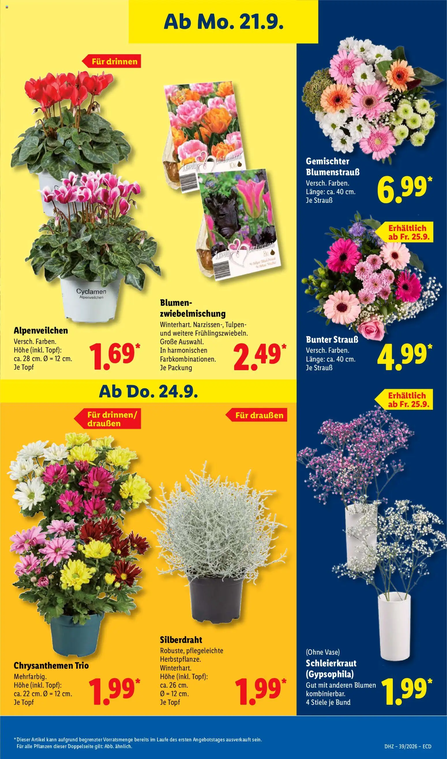 Lidl Německo leták od 21.09.2026 | Strana: 21
