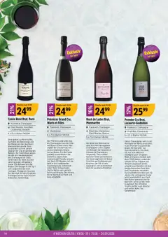 TopCC aktionen Weinfestival ab 31.08.2026 gültig | Seite: 14 | Produkte: Rotwein, Wein, Äpfel, Erdbeeren