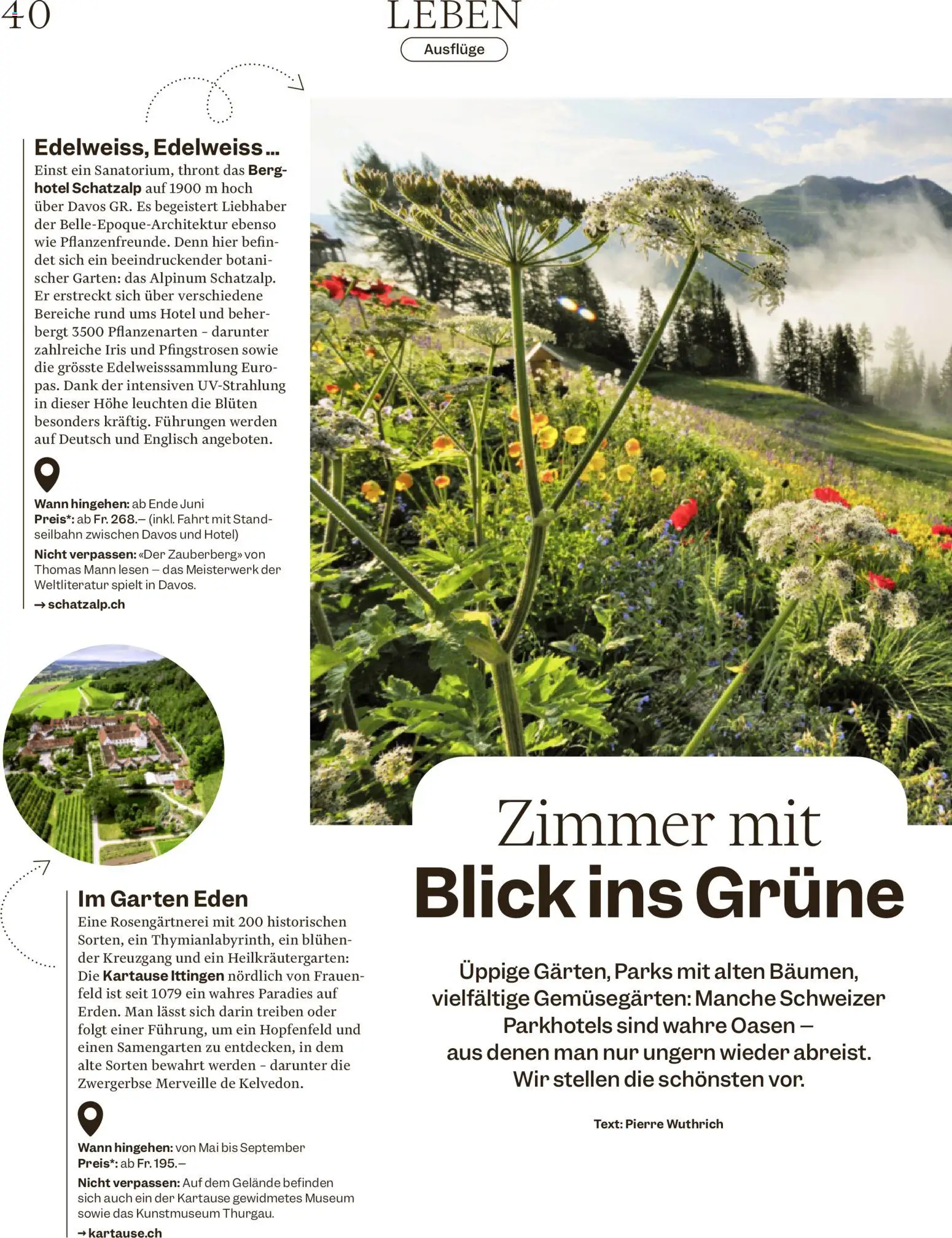 Migros aktionen Magazin – gültig ab 10.06.2026 | Seite: 40