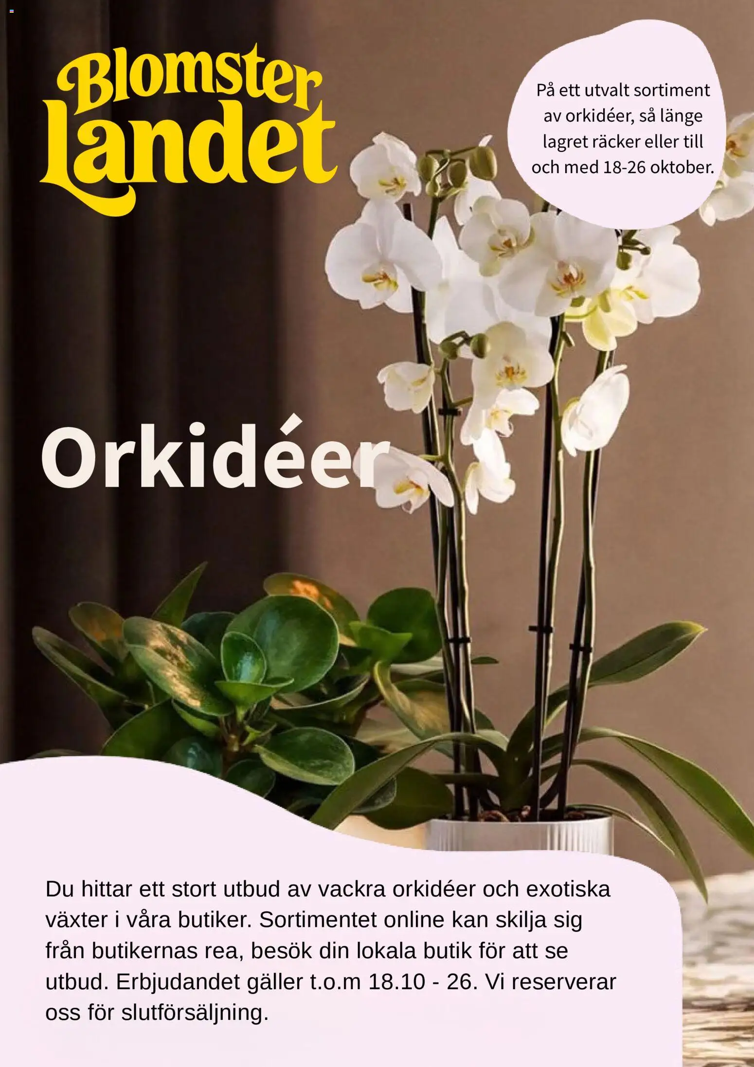 Blomsterlandet reklamblad aktuell från 09/10/2026 | Sida: 1 | Produkter: Galler