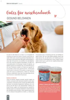 zookauf Themenkatalog Hund ab 18.05.2026 gültig | Seite: 62 | Produkte: Spiel, Käse, Fisch, Getreide