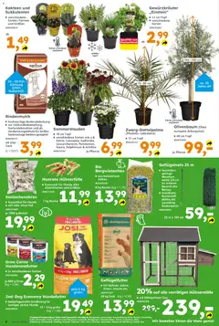 Globus Baumarkt Prospekt ab 15.06.2026 gültig | Seite: 8