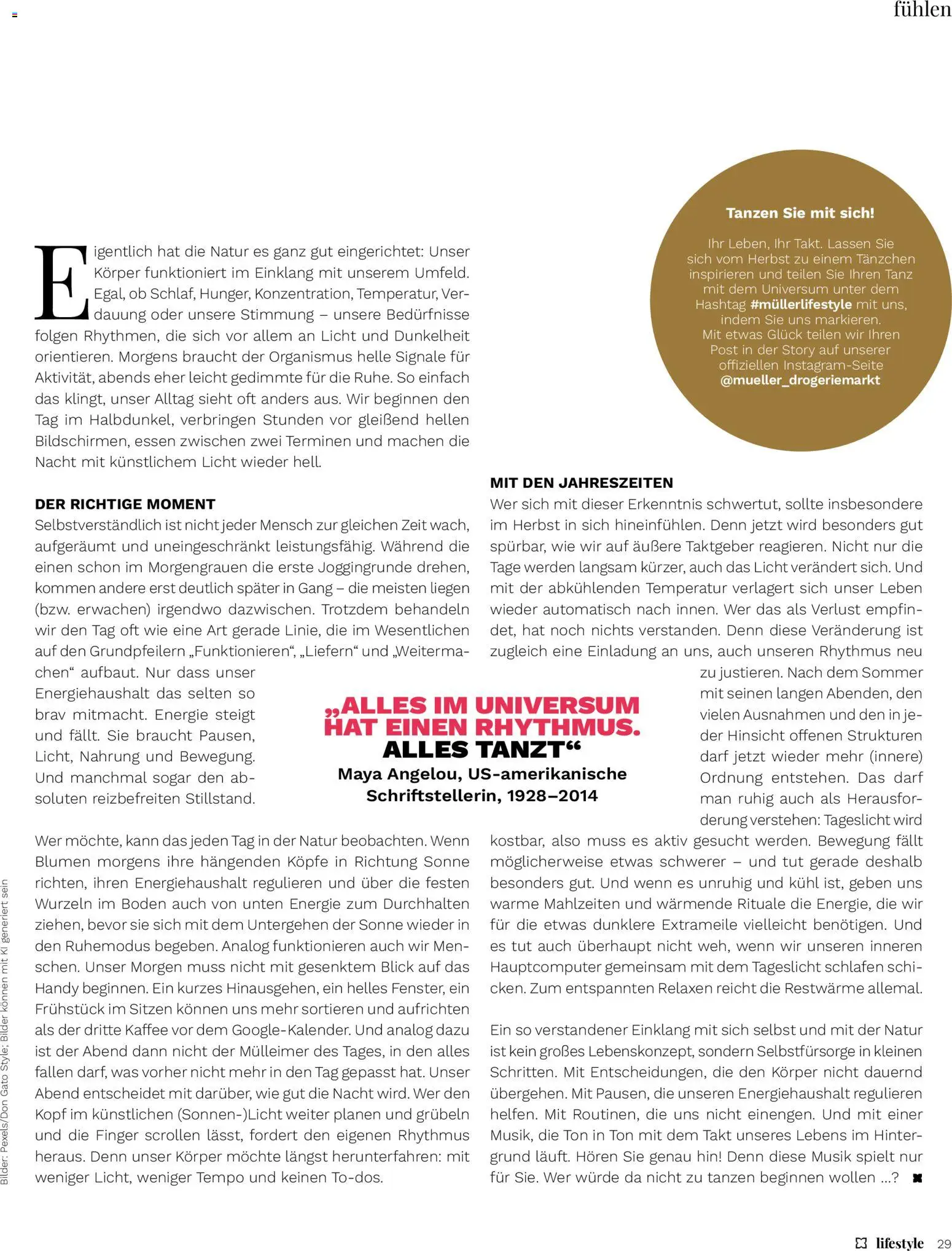 Müller Lifestyle – gültig ab 01.09.2026 | Seite: 29 | Produkte: Kaffee, Blumen, Bilder, Tempo
