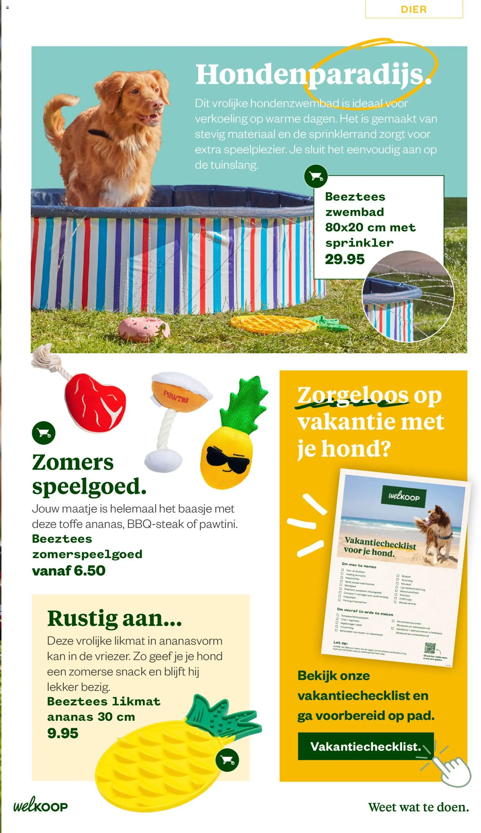 {H1} | Pagina: 17 | Producten: Ananas, Kan, Shampoo