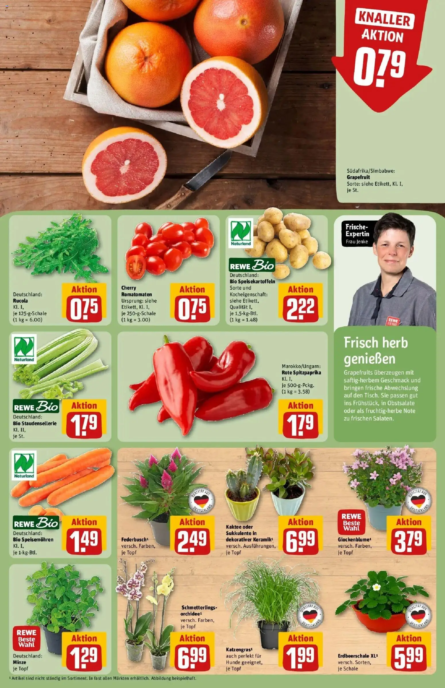 Rewe Prospekt Ettlingen – gültig ab 27.07.2026 | Seite: 7 | Produkte: Rucola, Grapefruit