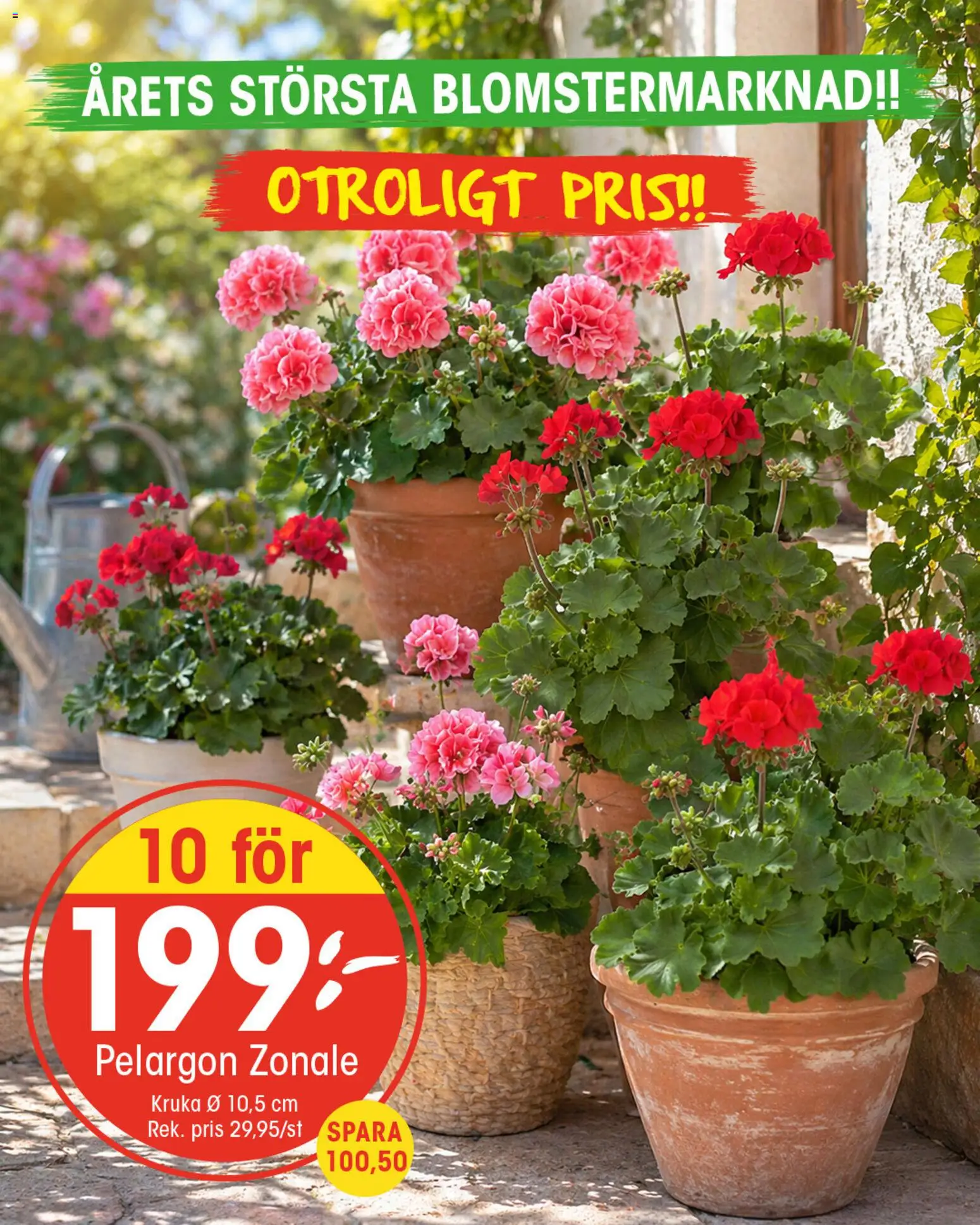 EKO reklamblad aktuell från 11.05.2026 | Sida: 6 | Produkter: Pelargon, Kruka