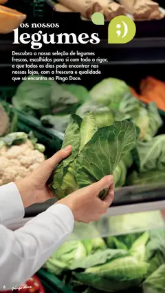 Pré-visualização legumes, Seleção de legumes frescos, escolhidos para si com todo o rigor, e que todos os dias pode encontrar nas nossas lojas, com a frescura e qualidade que só encontra no Pingo Doce. válido de 20.05.2025 | Página: 6