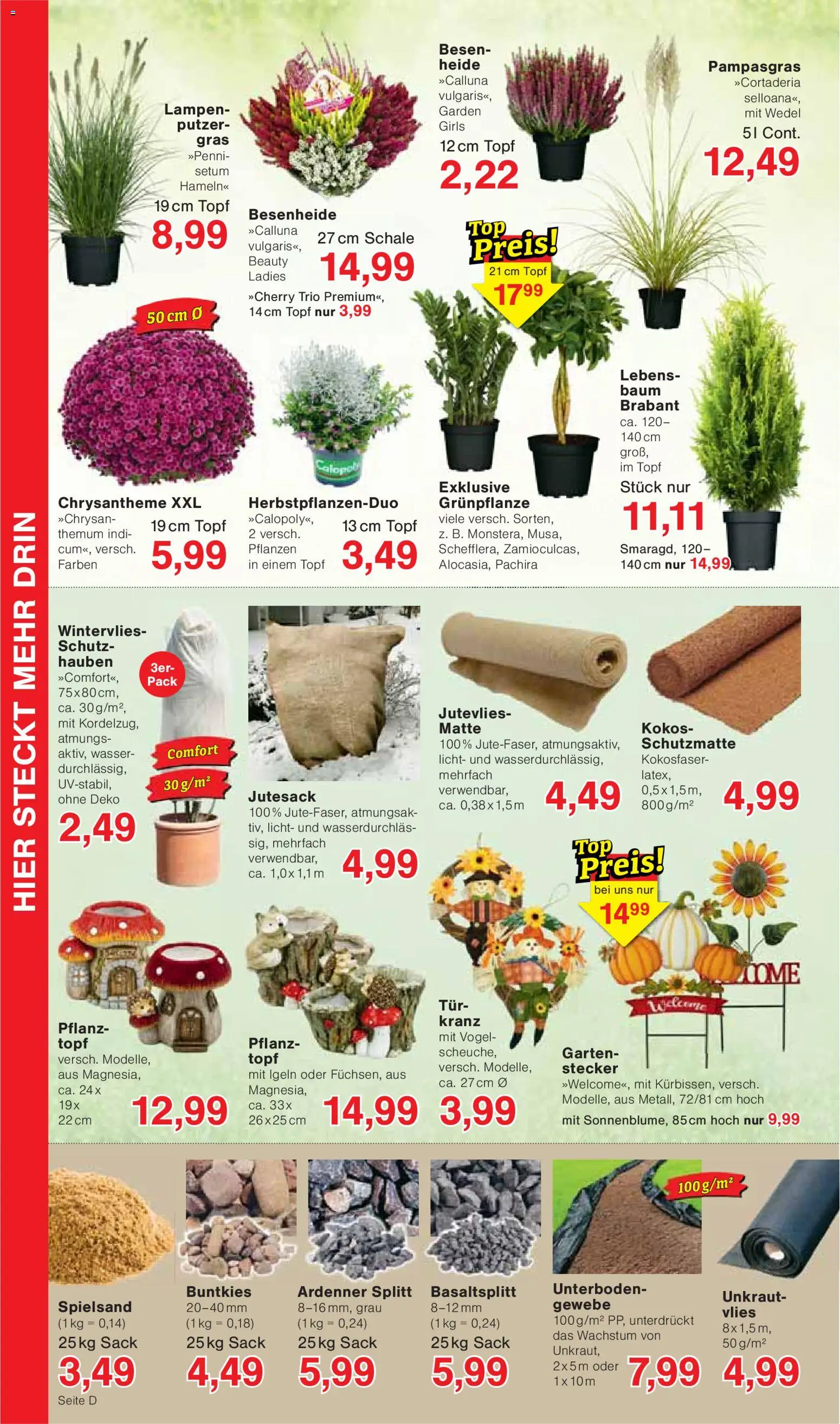 Wiglo Wunderland Prospekt – gültig ab 28.09.2026 | Seite: 8 | Produkte: Wasser