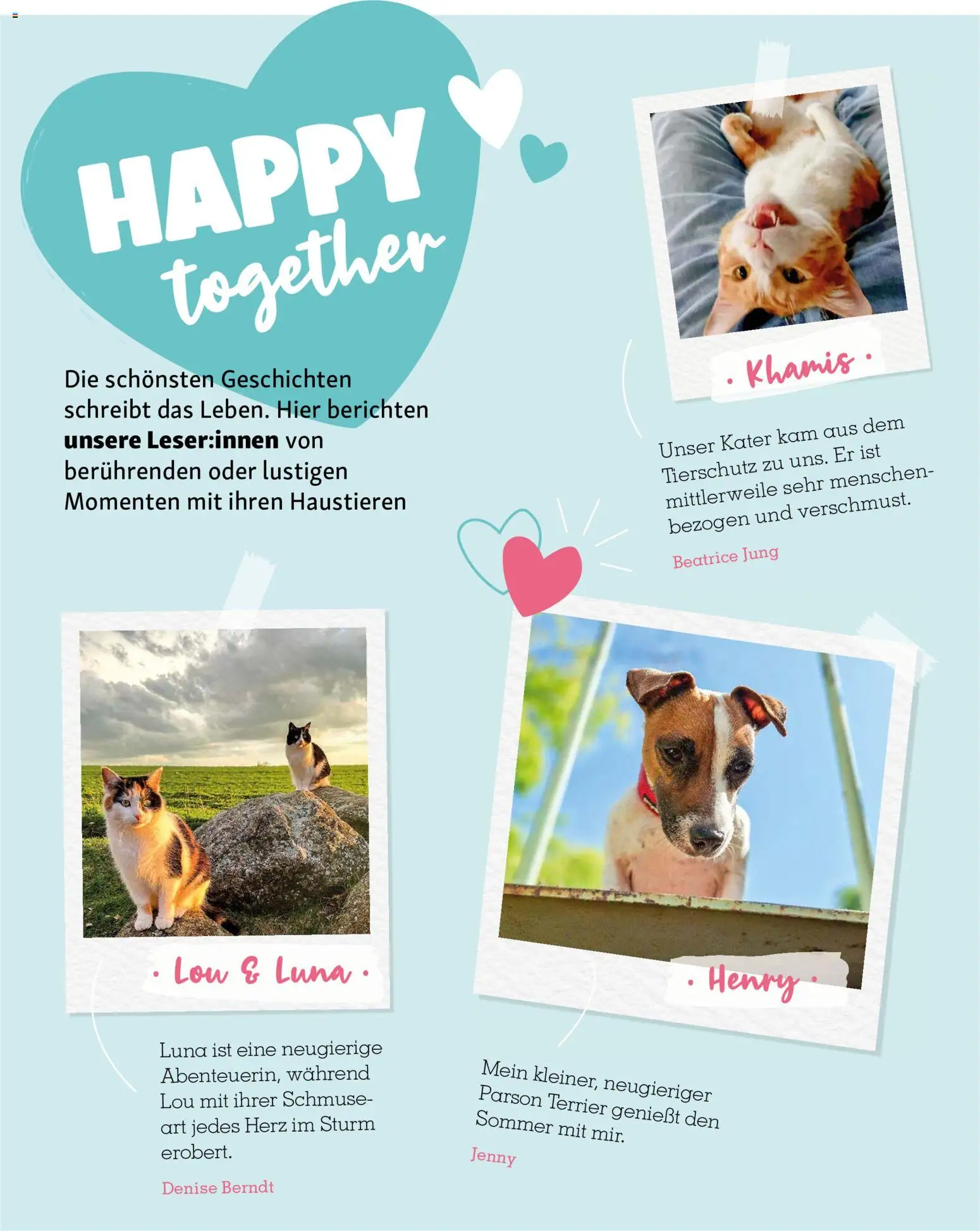 Fressnapf Friends Magazin (ab 01.07.2026) zum Blättern — page 51