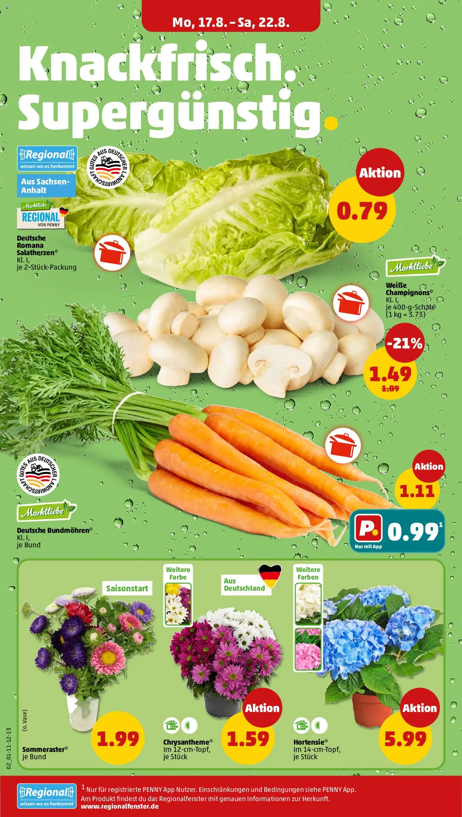 Penny Prospekt – gültig ab 17.08.2026 | Seite: 6 | Produkte: Hortensie, Champignons